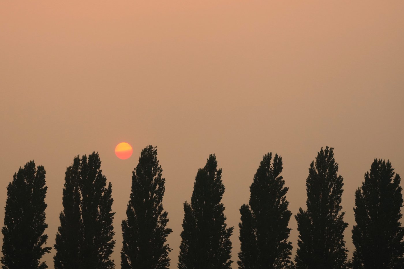 Firefighters get a handle on Spokane wildfires as tens of thousands remain evacuated | iNwheels Firefighters get a handle on Spokane wildfires as tens of thousands remain evacuated | iNwheels
