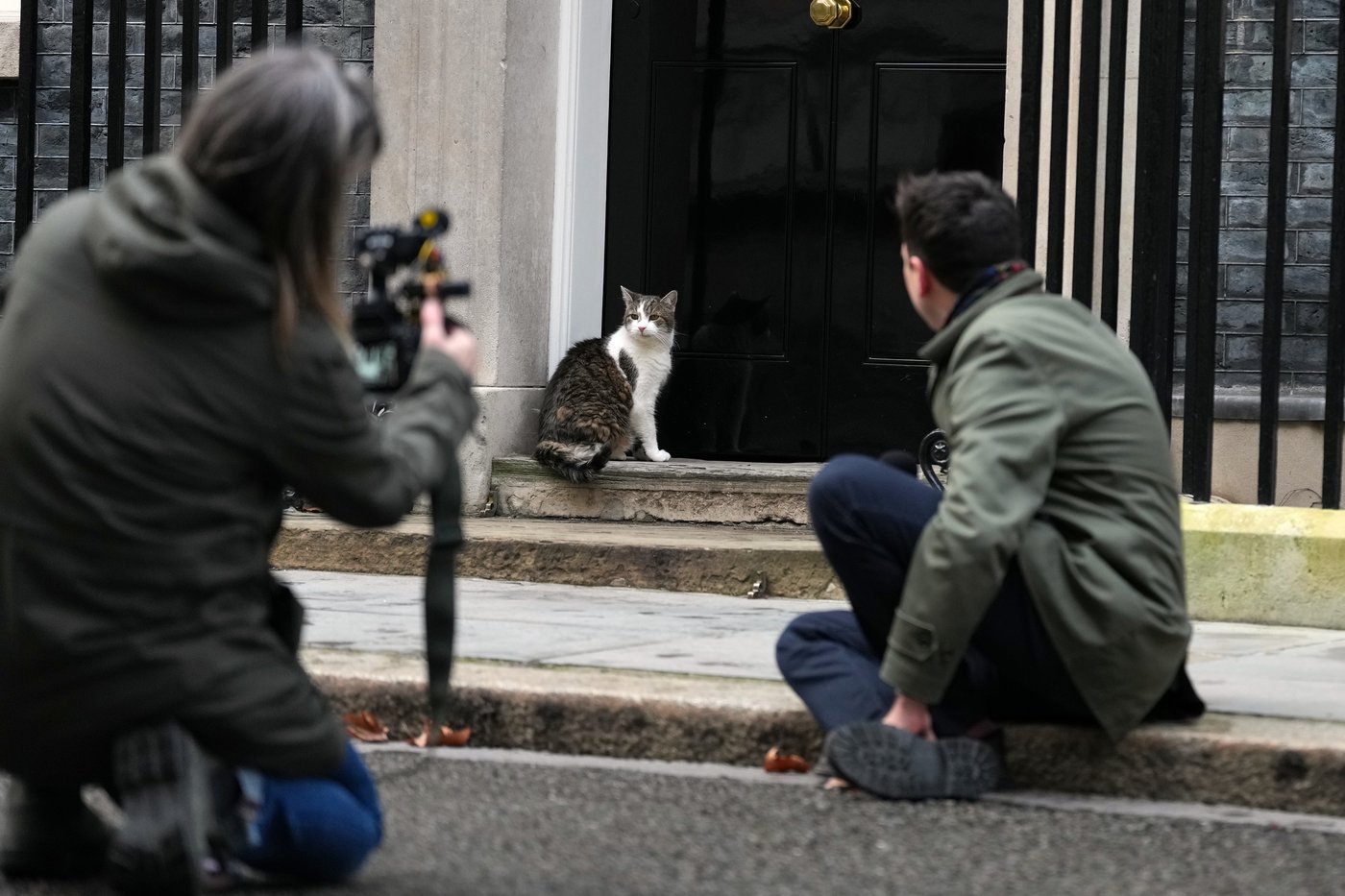 ‘First feline’ Larry marks 15 years as Britain’s political top cat | iNFOnews.ca