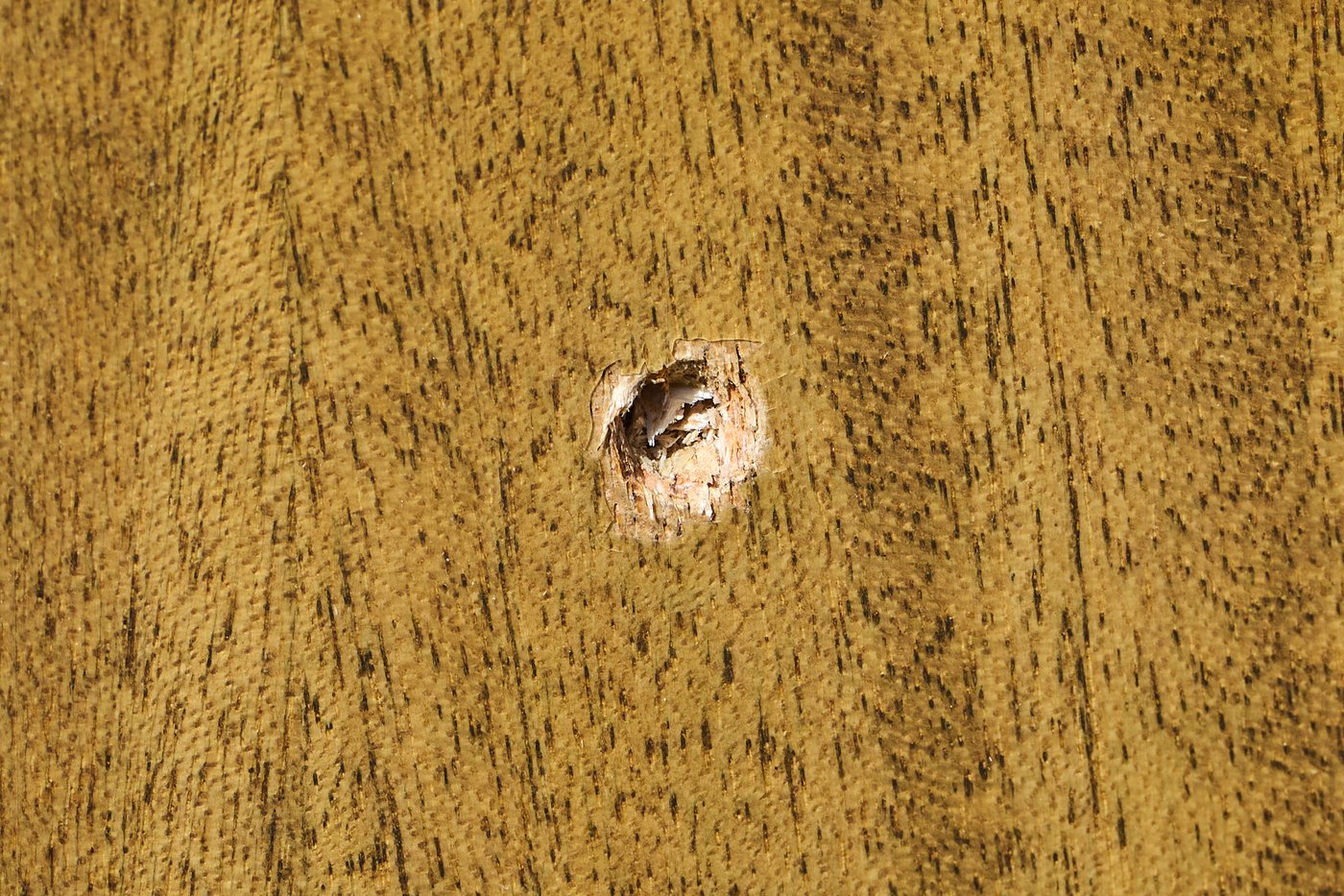 ‘A threat to all’: Community leaders call for more support after synagogue shootings | iNFOnews.ca