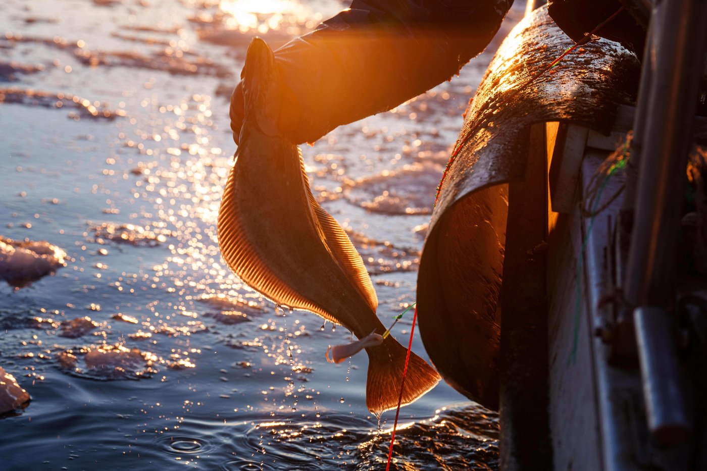 'It's too warm': Greenland's fishermen are under threat from climate change | iNFOnews.ca 'It's too warm': Greenland's fishermen are under threat from climate change | iNFOnews.ca