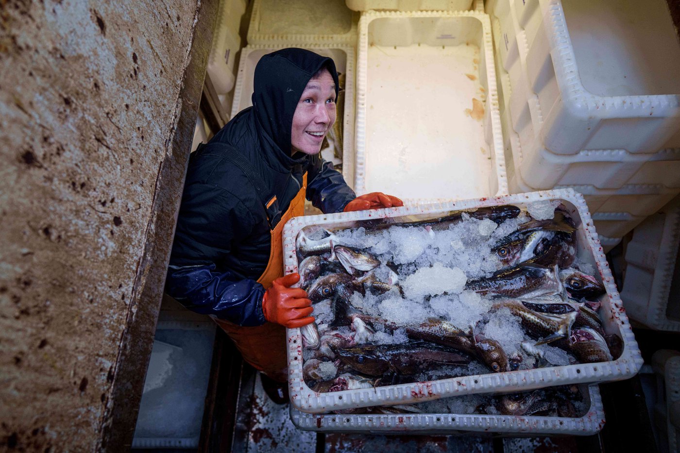 'It's too warm': Greenland's fishermen are under threat from climate change | iNFOnews.ca 'It's too warm': Greenland's fishermen are under threat from climate change | iNFOnews.ca
