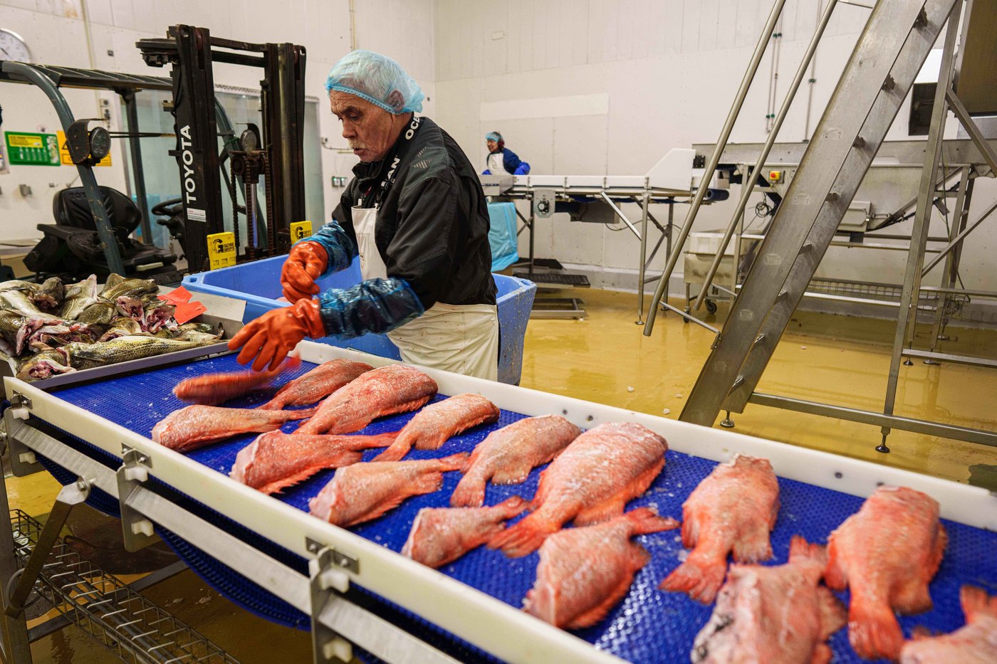 'It's too warm': Greenland's fishermen are under threat from climate change | iNFOnews.ca 'It's too warm': Greenland's fishermen are under threat from climate change | iNFOnews.ca