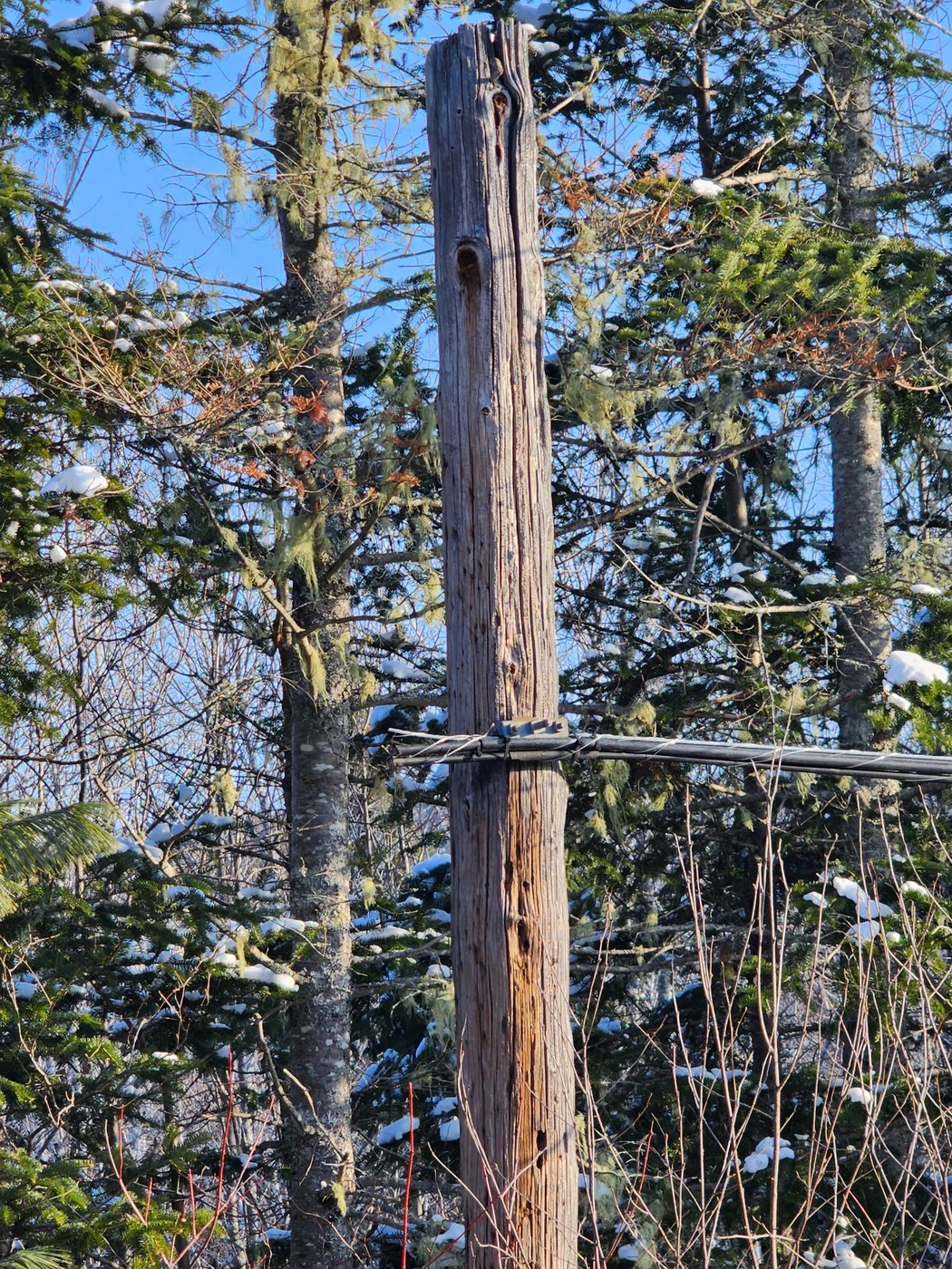 As more copper wire thefts knock out service, some point fingers at scrap yards | iNFOnews.ca