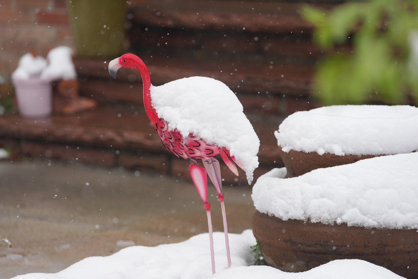 A late spring snowstorm slams Colorado, closing schools and disrupting commuters | iNFOnews.ca