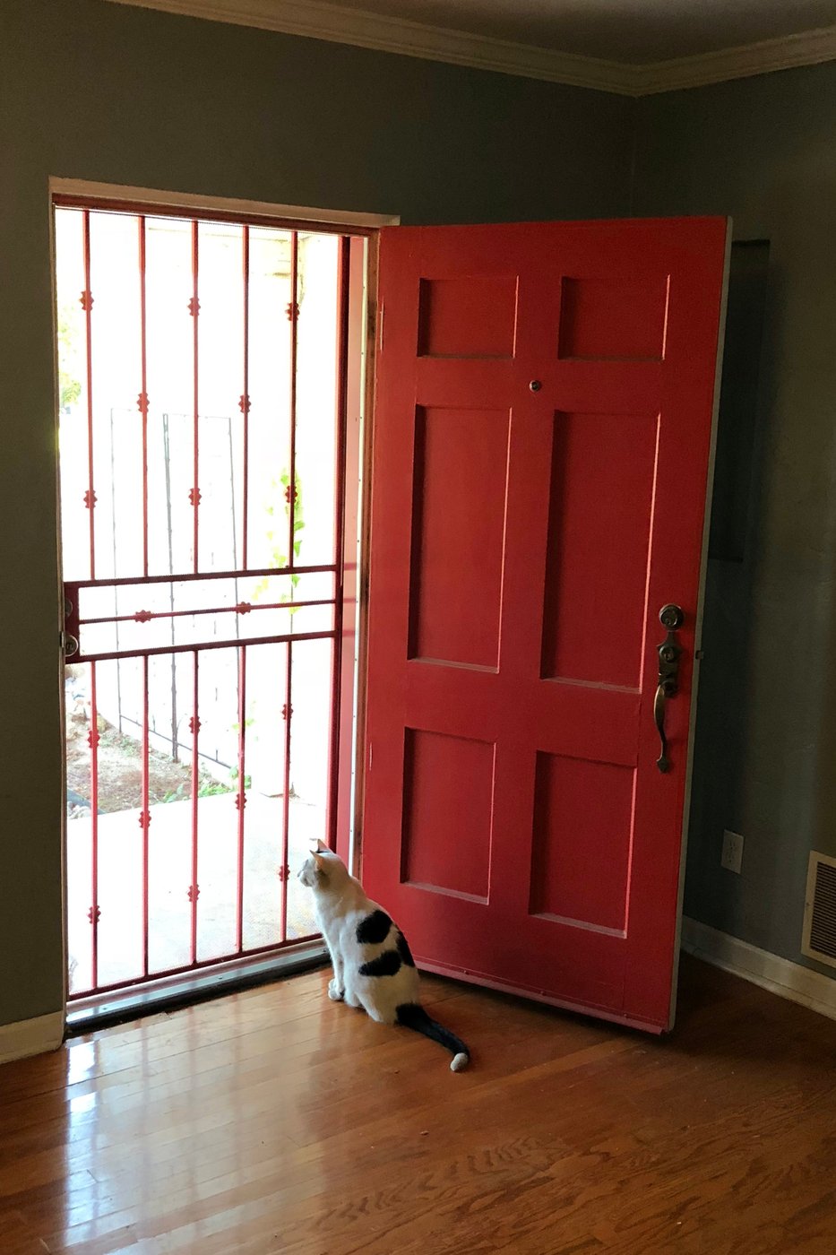 Beyond keeping out bugs, the screen door safeguards Americans' trust in others | iNFOnews.ca