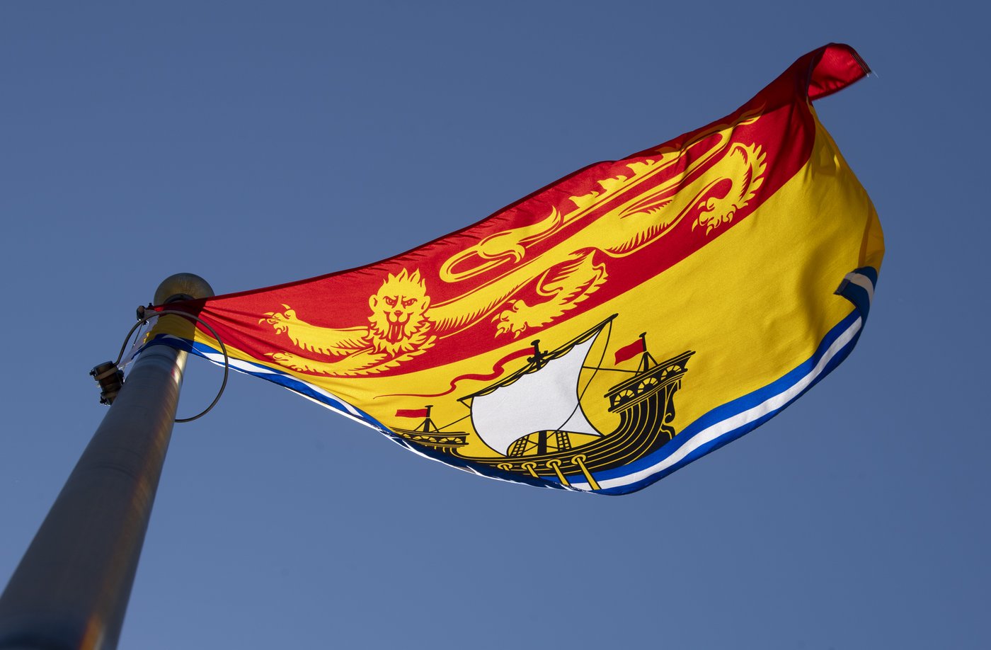 In the news today: Hantavirus testing, Census surveys due, Habs face Sabres tonight | iNFOnews.ca