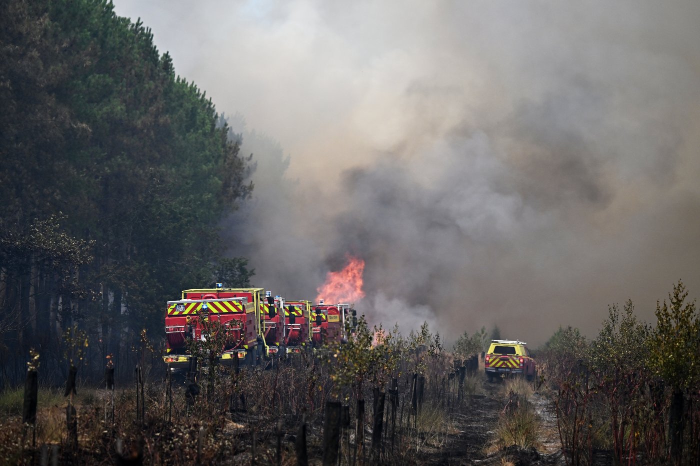 French president pledges support on visit to fire zone, vows: 'We will win this battle together' | iNFOnews.ca