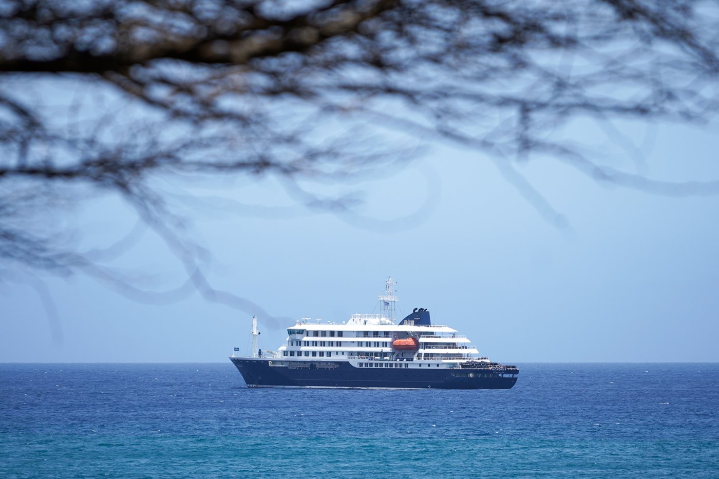 A cruise ship is waiting for help after 3 people died in a suspected hantavirus outbreak | iNFOnews.ca