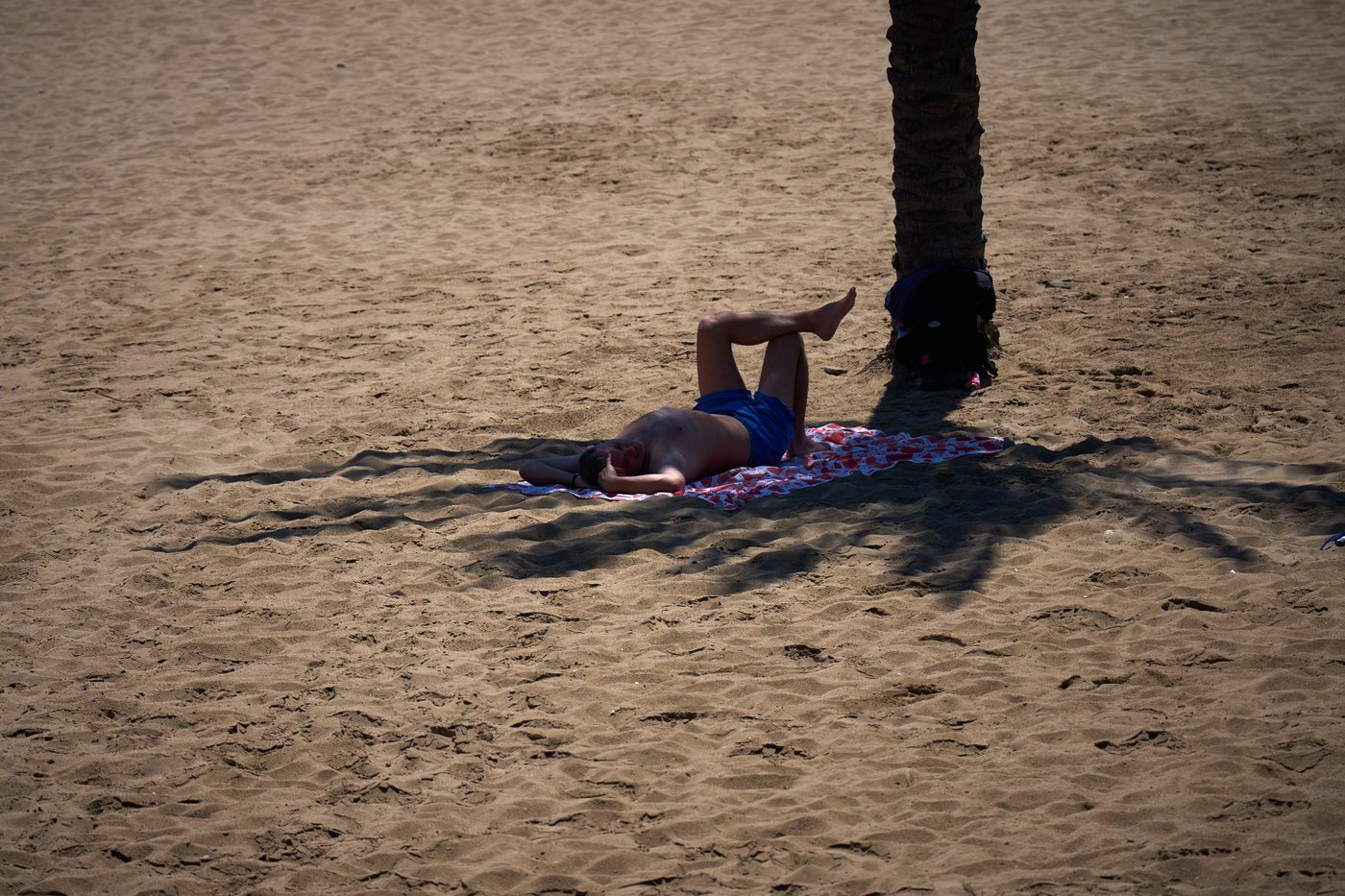 Think it's hot now? The next five years will smash records, UN says | iNFOnews.ca