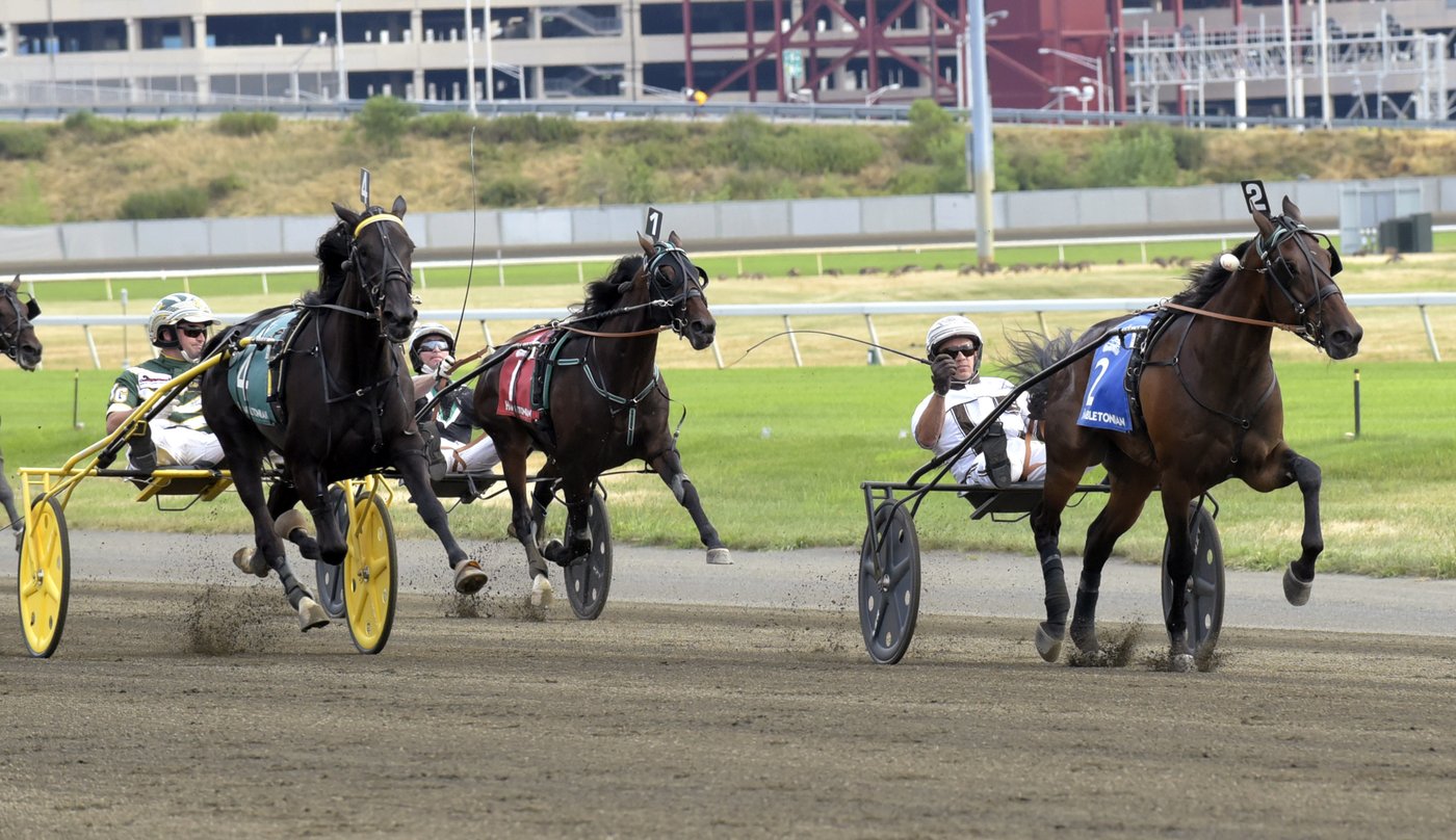 Owner Brad Grant feels hosting Hambletonian Stakes would boost Canadian racing | iNFOnews.ca