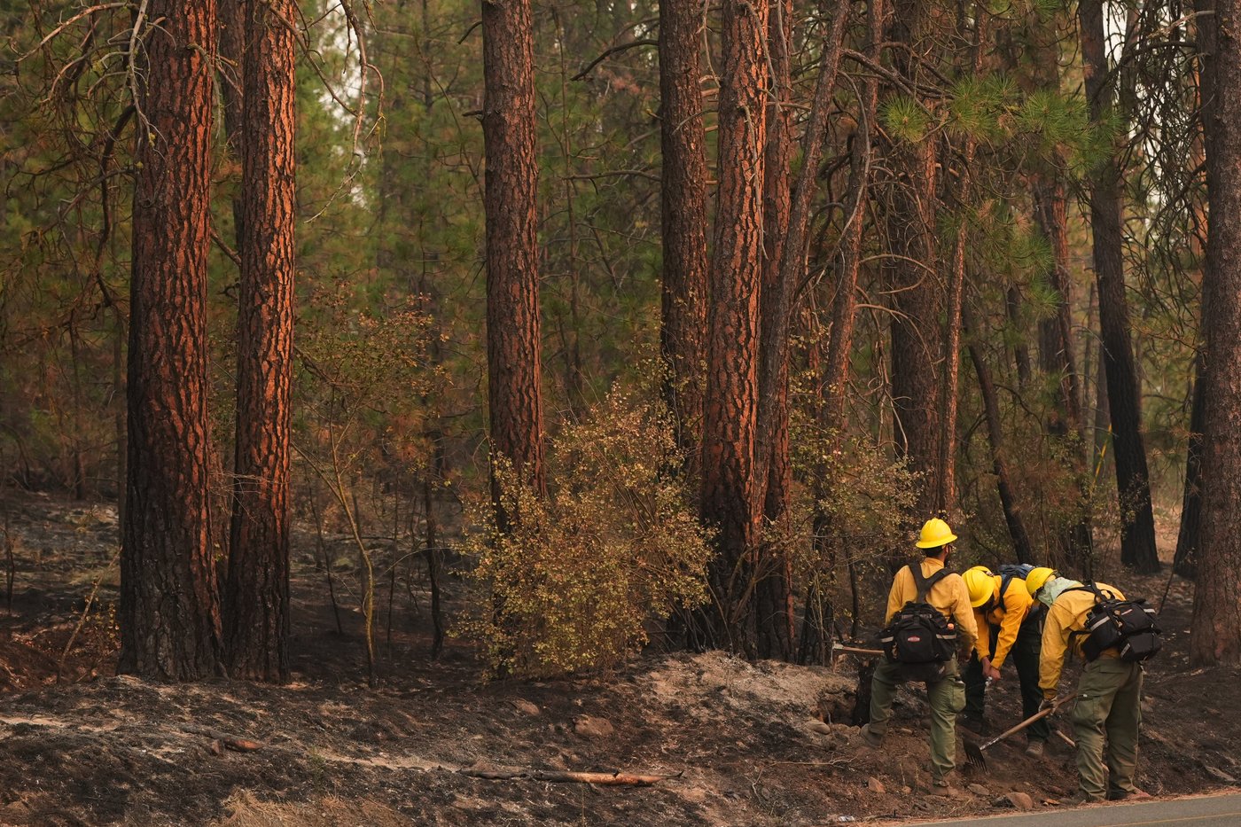 Officials warn wildland firefighters about the risks of using a supplement for smoke exposure | iNFOnews.ca Officials warn wildland firefighters about the risks of using a supplement for smoke exposure | iNFOnews.ca