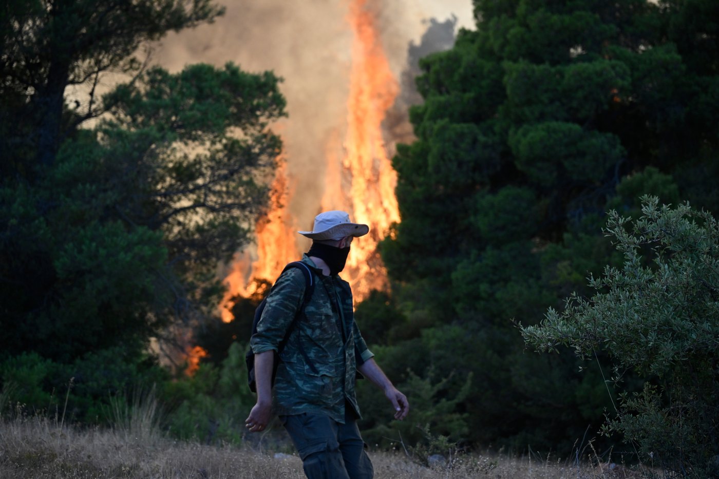 Fotos mostram destruição causada por incêndios florestais na Grécia enquanto incêndios se espalham pela Europa e partes dos EUA | iNwheels