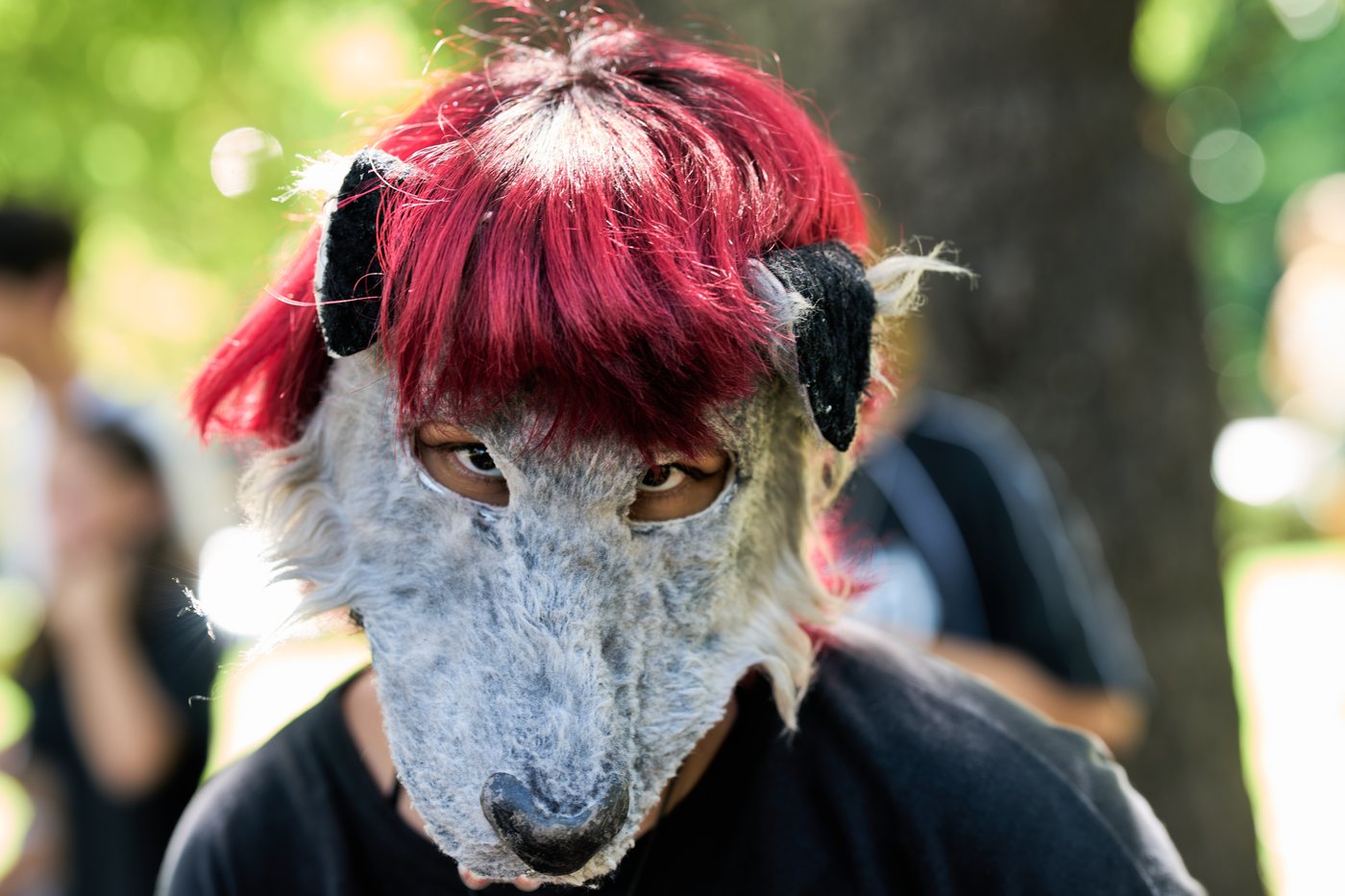 Viral phenomenon in Argentina has young people identifying themselves as animals | iNFOnews.ca