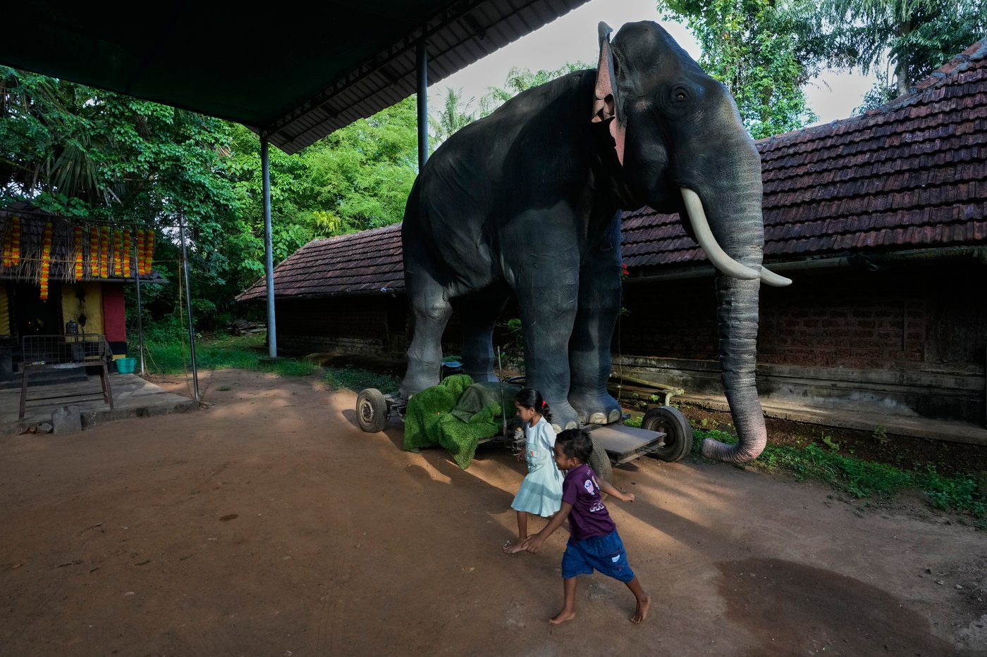 Robotic elephants are replacing live ones at Kerala temple festivals, in photos | iNFOnews.ca