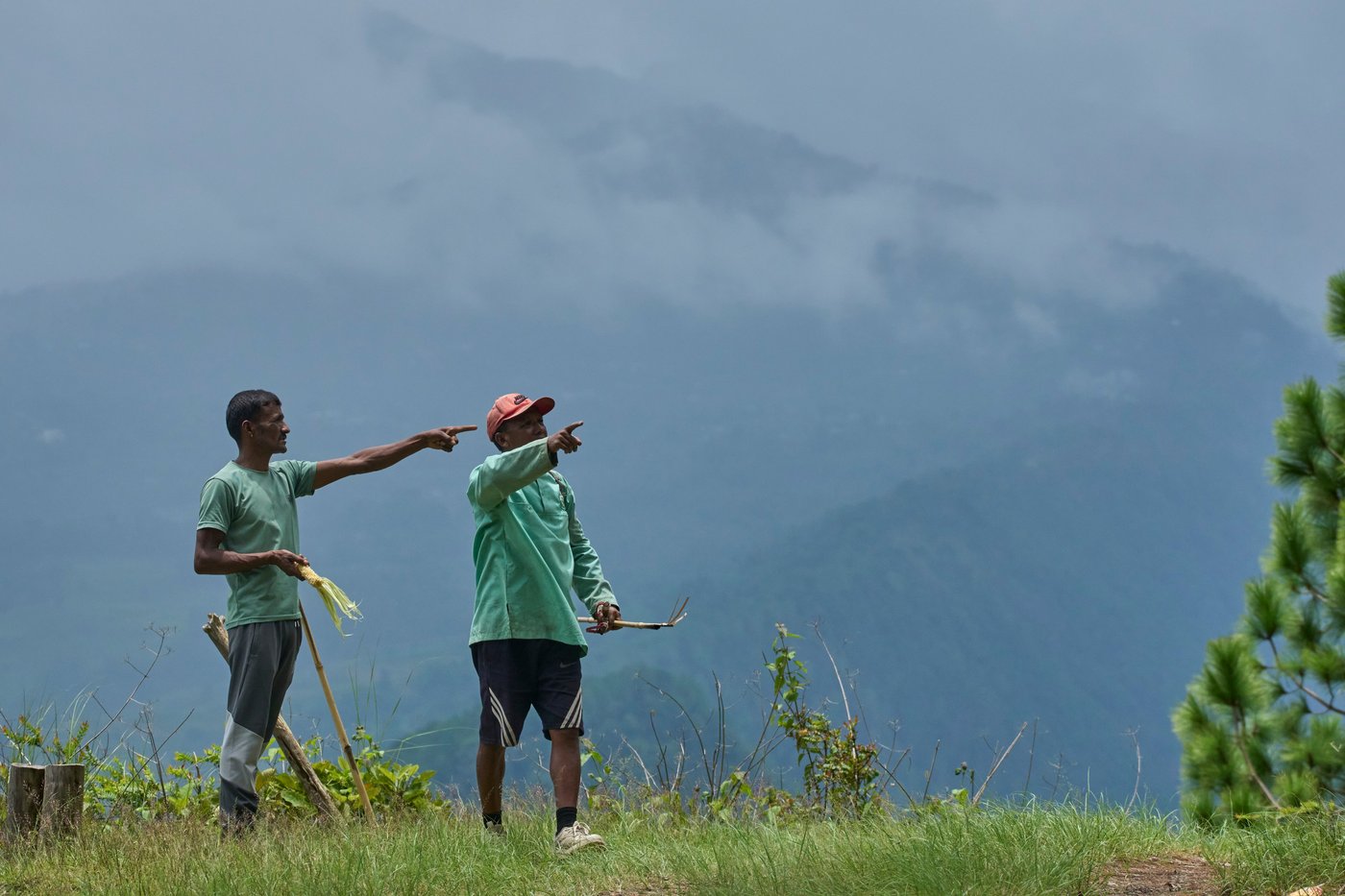 PHOTO ESSAY: Crop-raiding monkeys threaten Nepal's farming communities | iNFOnews.ca