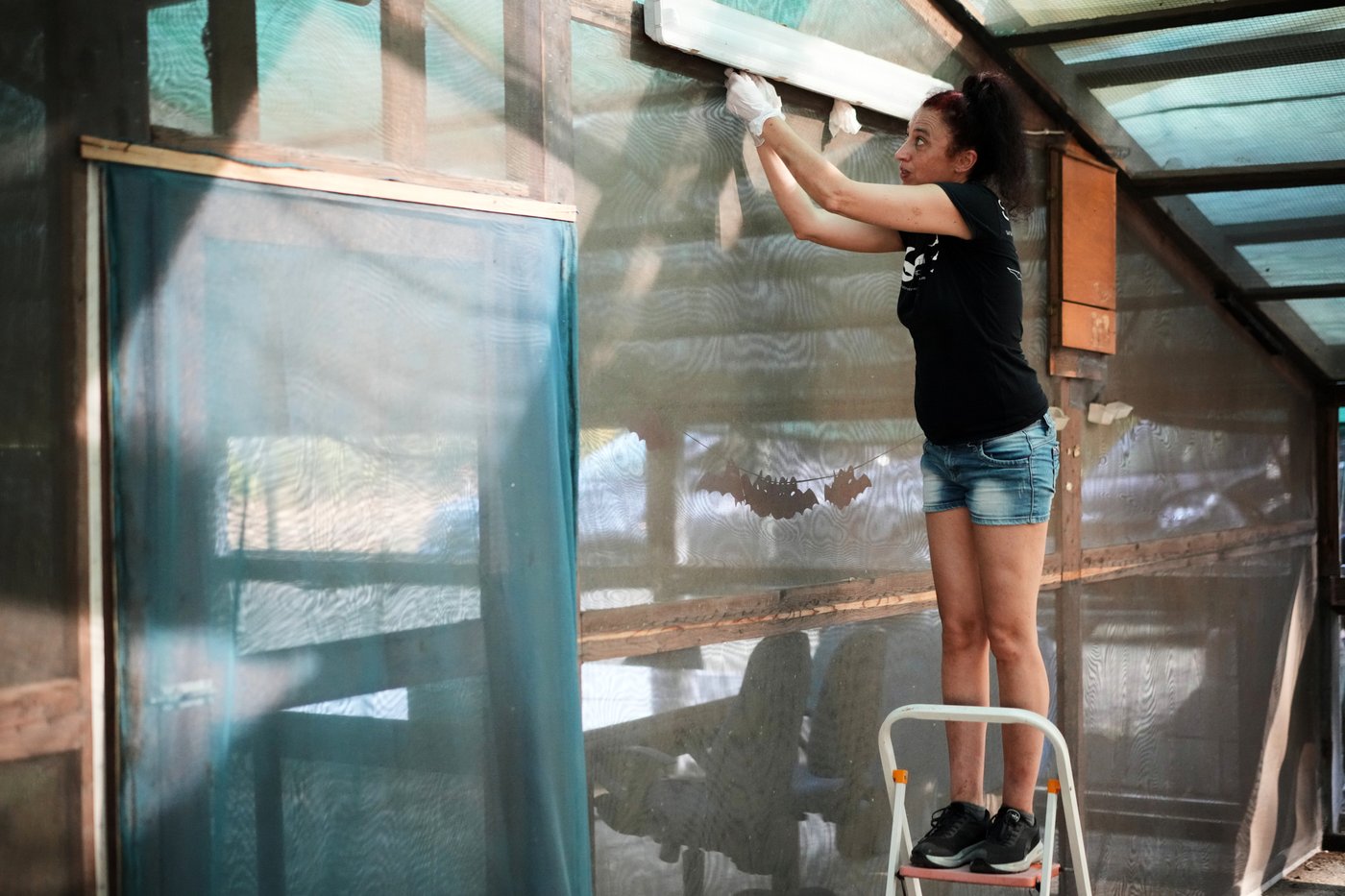 Volunteers work to protect displaced bats at an Italian Bat Conservation, in photos | iNFOnews.ca
