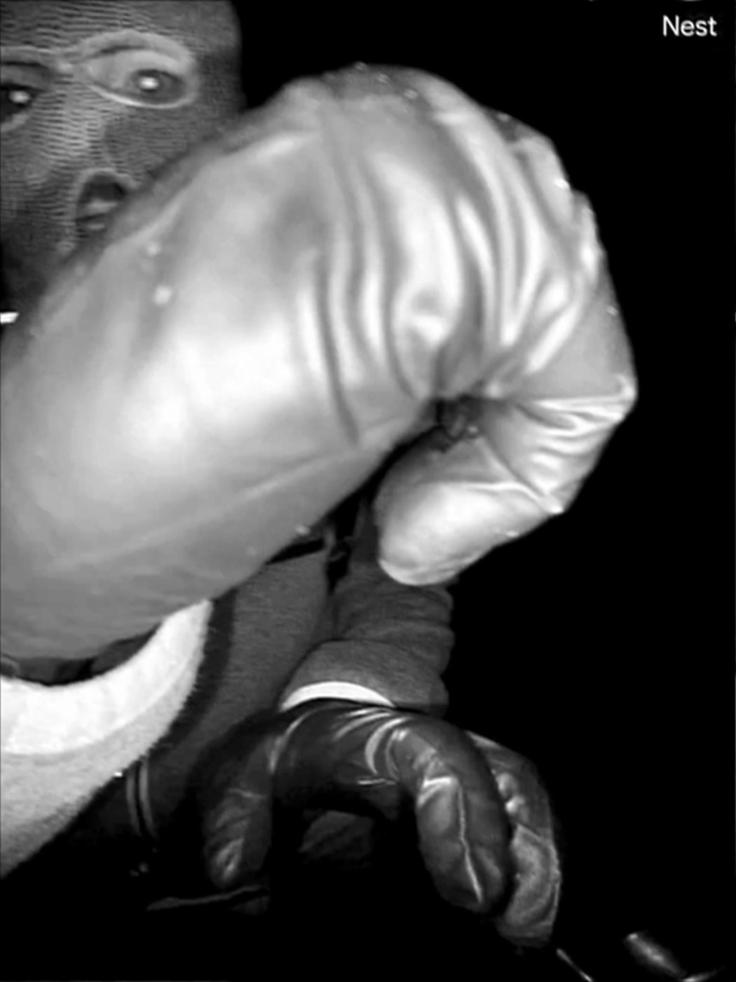 Chilling images from Nancy Guthrie's porch could hold valuable clues about the masked suspect | iNFOnews.ca