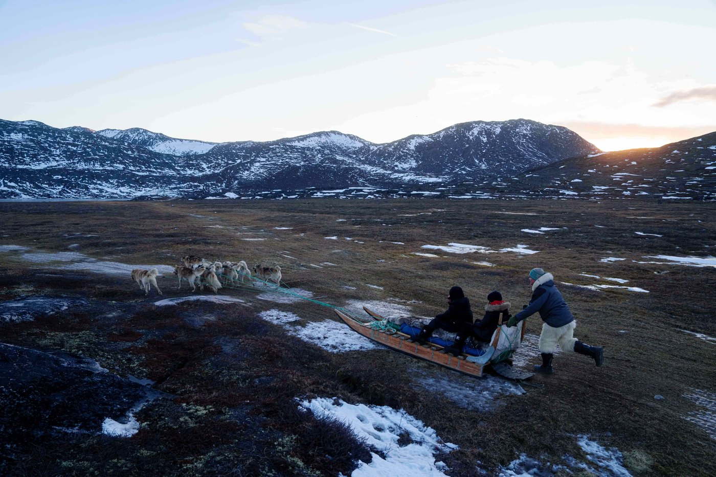 A lush knee-high jungle grows in the Arctic, but warming is changing Earth's mini-greenhouse | iNFOnews.ca A lush knee-high jungle grows in the Arctic, but warming is changing Earth's mini-greenhouse | iNFOnews.ca