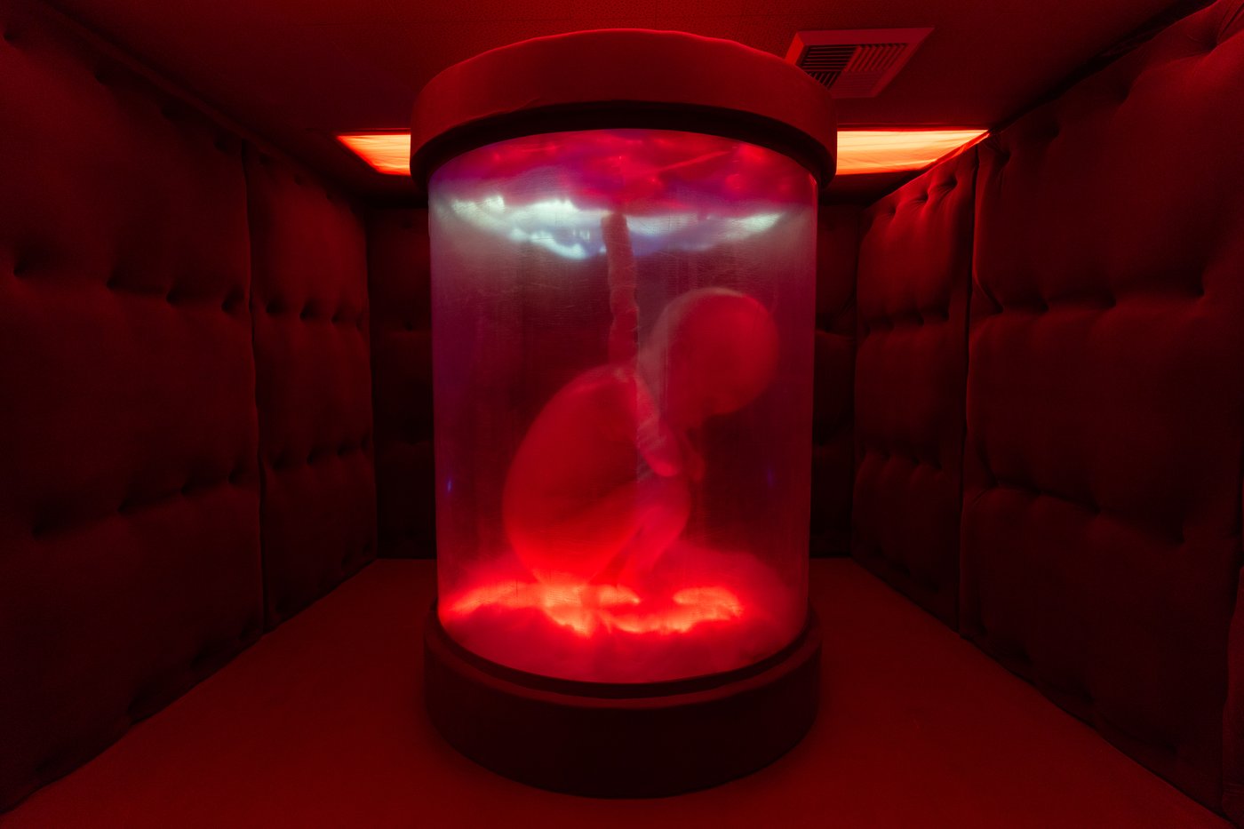 Former LA hospital hosts immersive art show, in photos | iNFOnews.ca