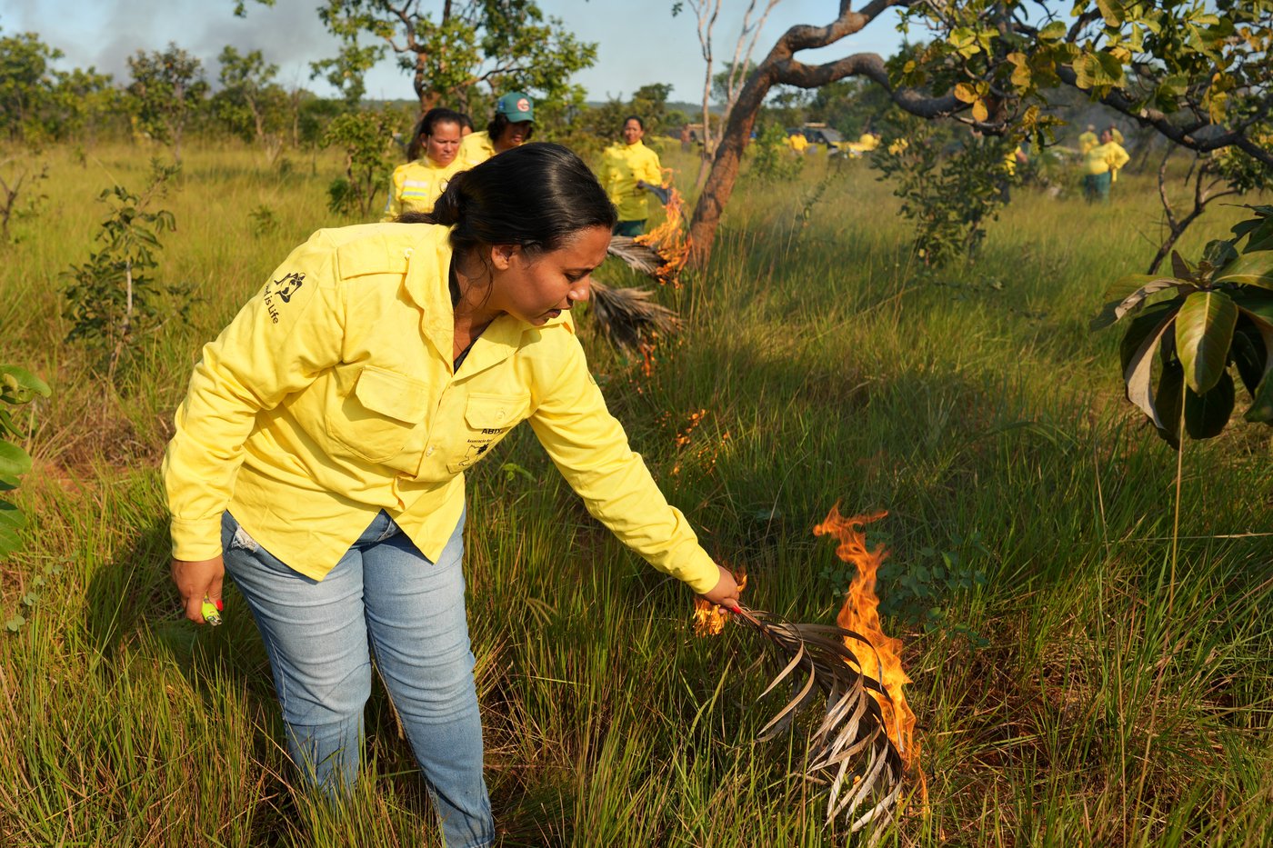 In Brazil’s Cerrado region, Indigenous fire practices reshape wildfire strategy | iNFOnews.ca
