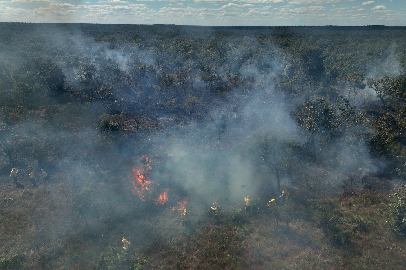 In Brazil’s Cerrado region, Indigenous fire practices reshape wildfire strategy | iNFOnews.ca