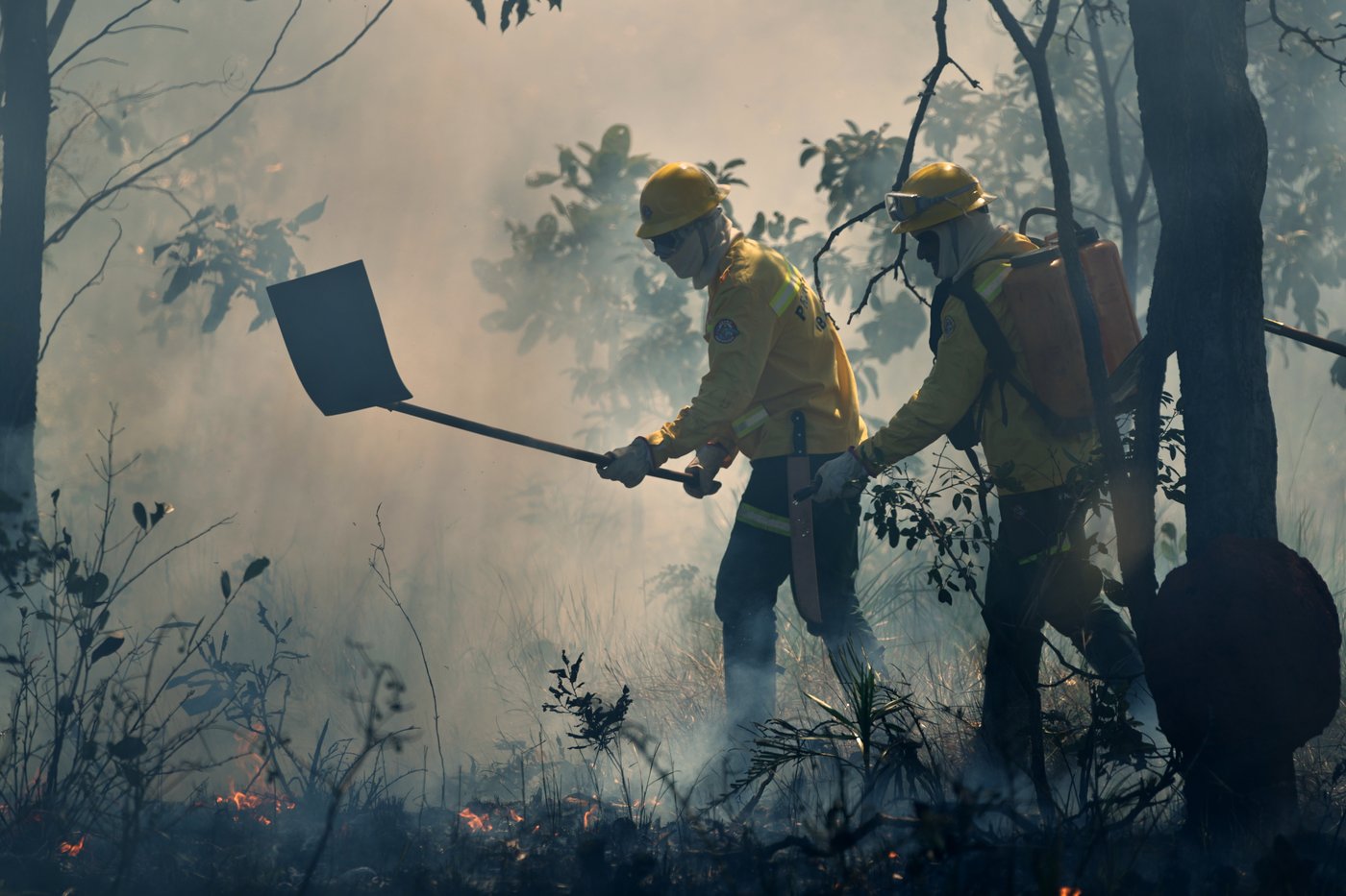 In Brazil’s Cerrado region, Indigenous fire practices reshape wildfire strategy | iNFOnews.ca