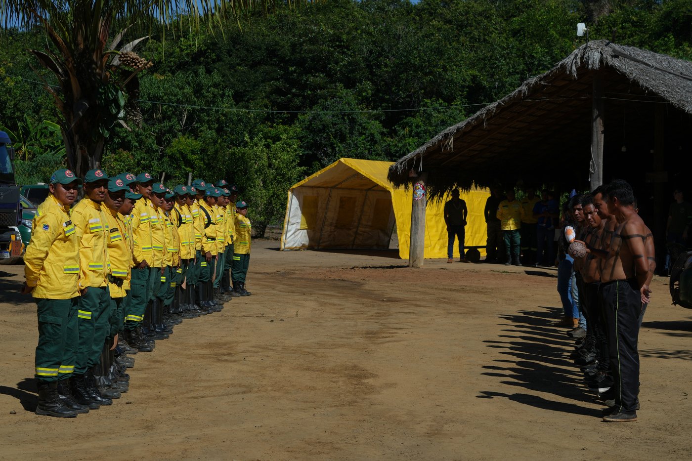 In Brazil’s Cerrado region, Indigenous fire practices reshape wildfire strategy | iNFOnews.ca