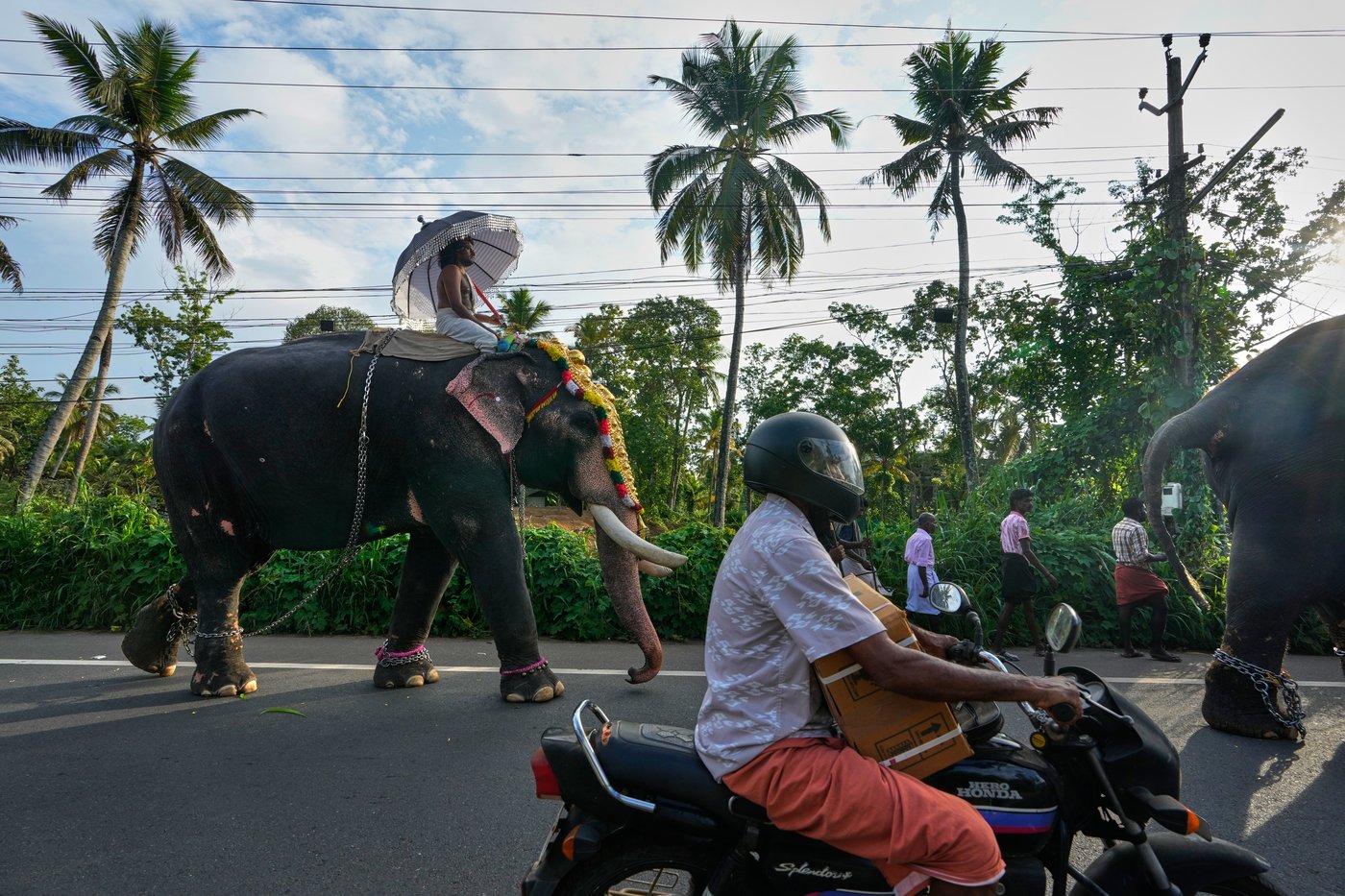 Robotic elephants are replacing live ones at Kerala temple festivals, in photos | iNFOnews.ca
