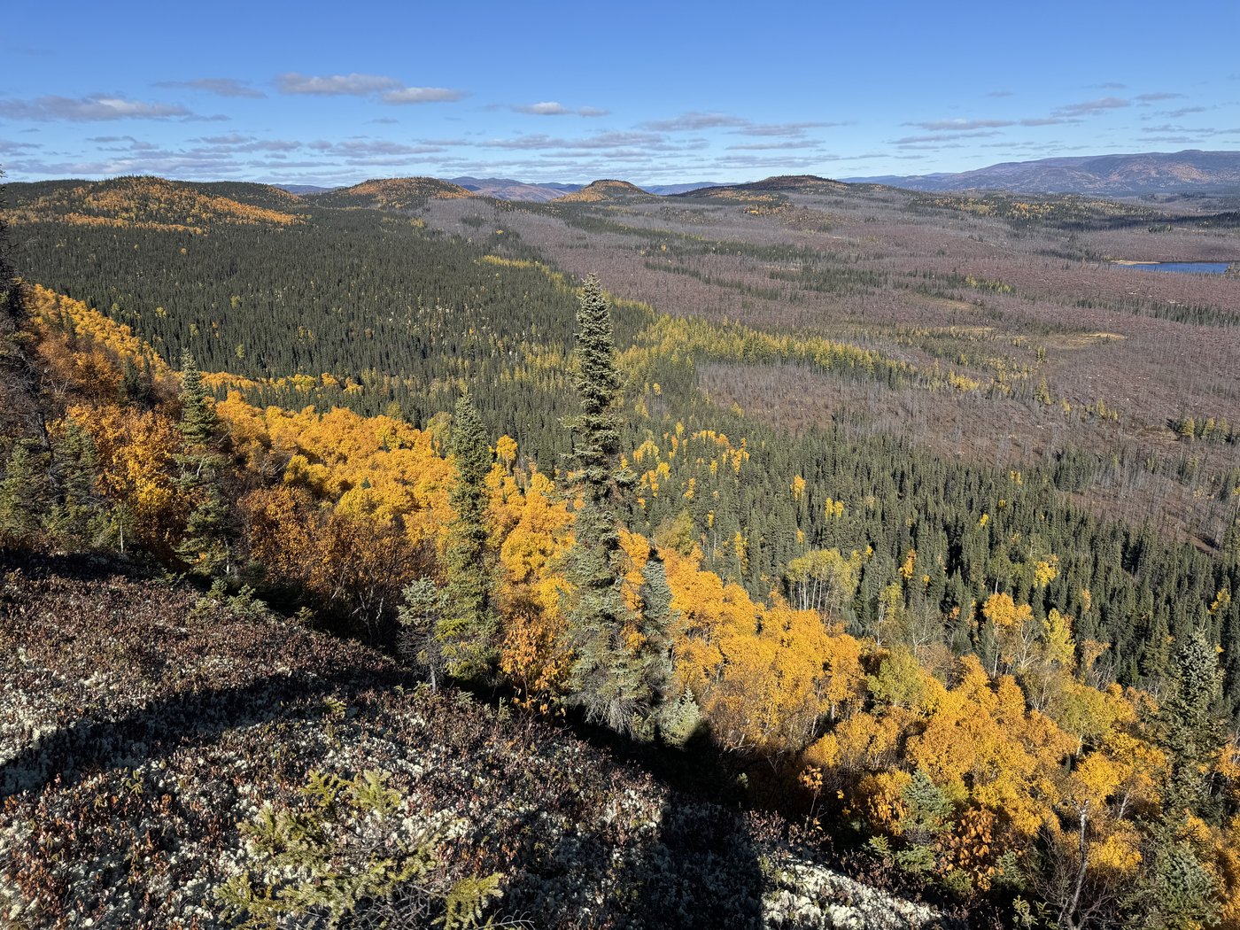 Pit found by Quebecer confirmed to be a 390-million-years-old meteorite impact crater | iNFOnews.ca Pit found by Quebecer confirmed to be a 390-million-years-old meteorite impact crater | iNFOnews.ca