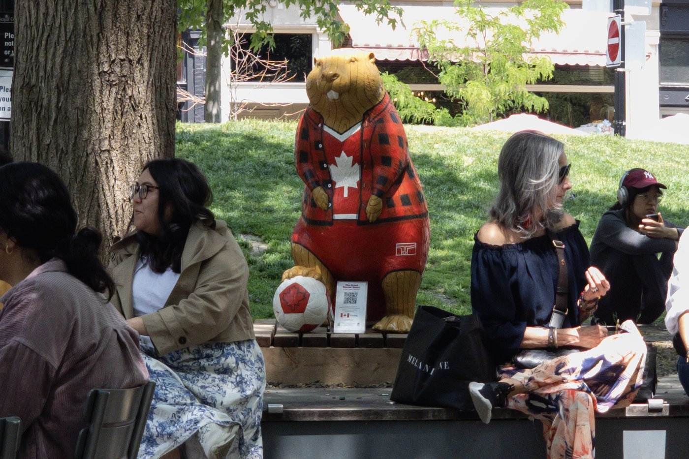 Beaver sculptures welcome tourists in downtown Toronto ahead of World Cup | iNFOnews.ca