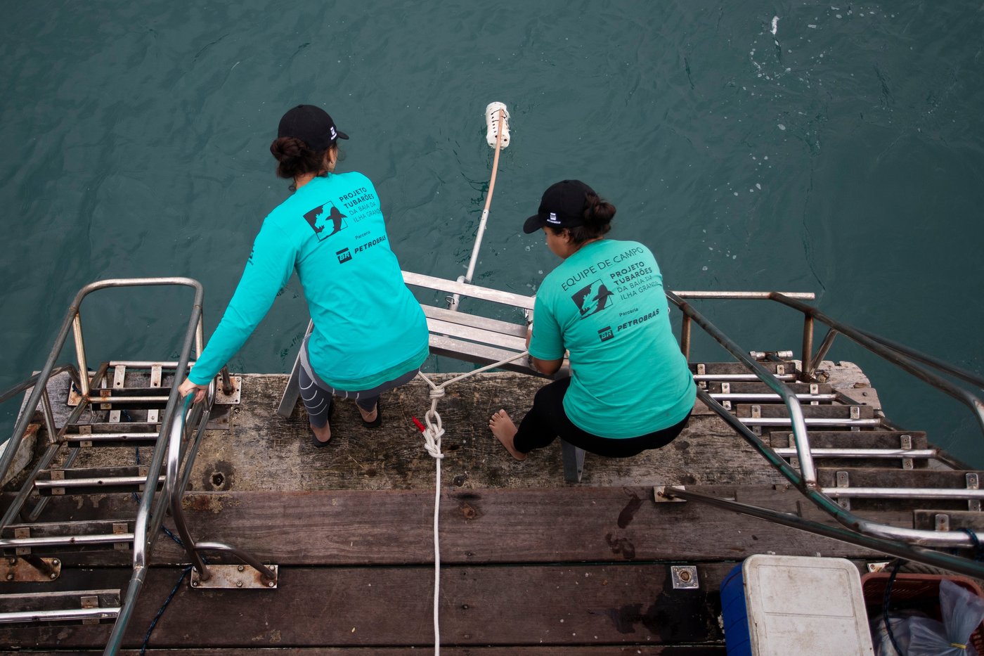 A Brazilian bay’s surprise shark nursery sparks conservation project | iNFOnews.ca