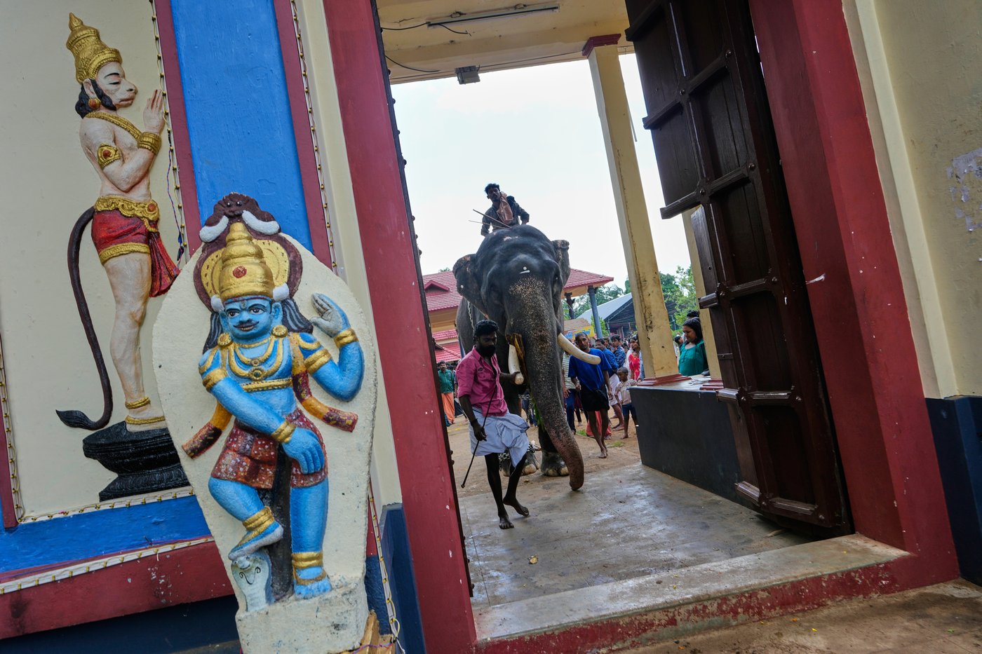 Robotic elephants are replacing live ones at Kerala temple festivals, in photos | iNFOnews.ca