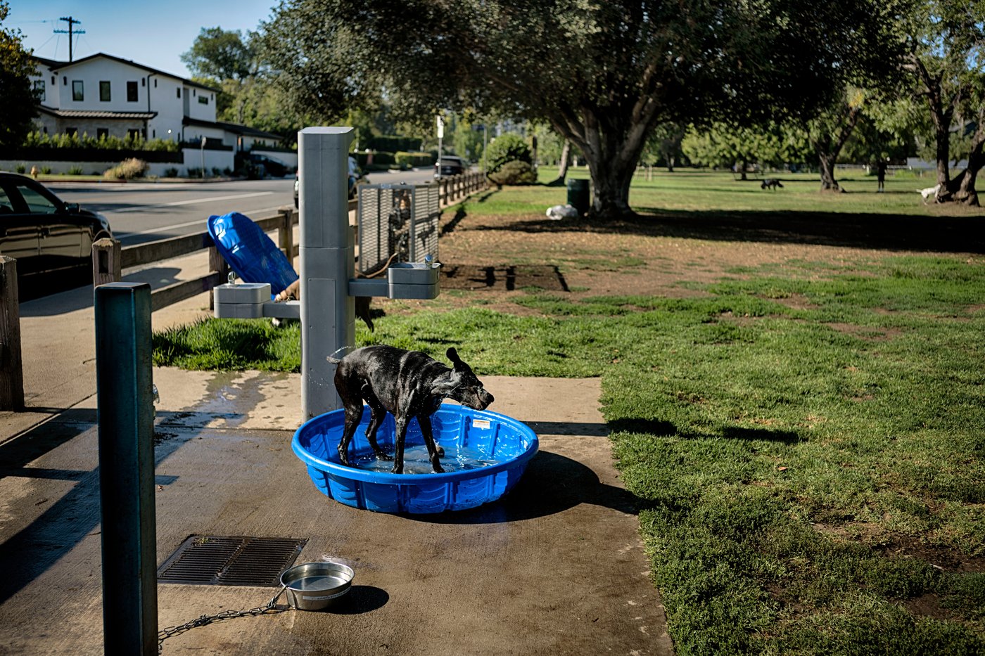 Extreme heat and drought take a toll around the world, in photos | iNFOnews.ca