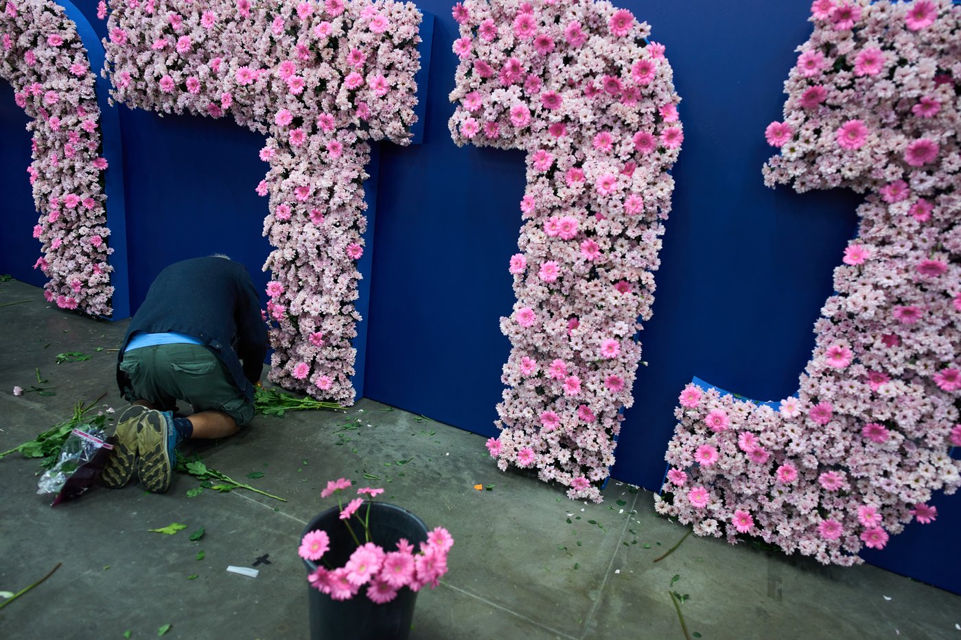 Flowers create elaborate fantasy worlds at a Tel Aviv exhibition, in photos | iNFOnews.ca