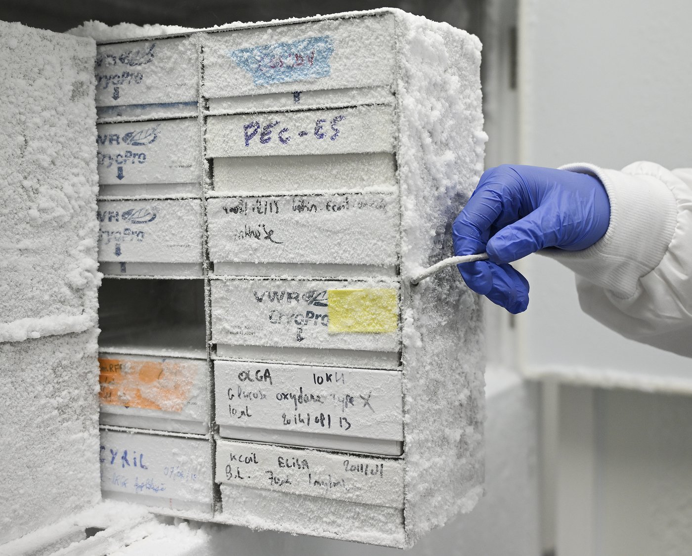 Inside the Montreal lab working to prepare Canada against future pandemics | iNFOnews.ca Inside the Montreal lab working to prepare Canada against future pandemics | iNFOnews.ca
