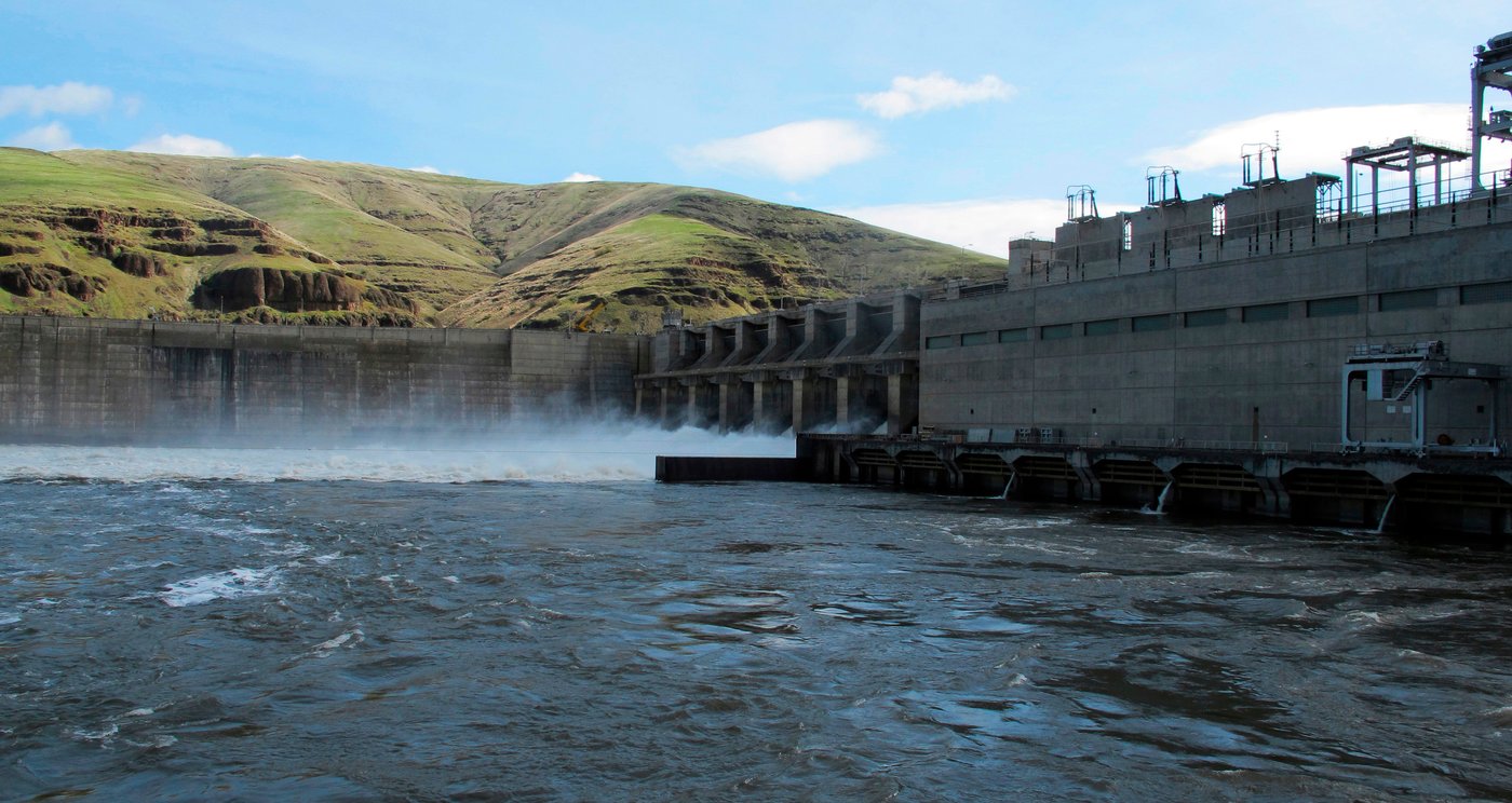 Judge orders changes to Columbia and Snake river dam operations to help 'disappearing' salmon | iNFOnews.ca