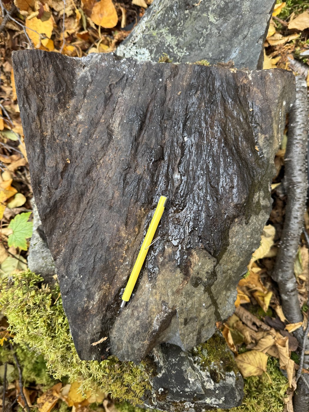 Pit found by Quebecer confirmed to be a 390-million-years-old meteorite impact crater | iNFOnews.ca Pit found by Quebecer confirmed to be a 390-million-years-old meteorite impact crater | iNFOnews.ca