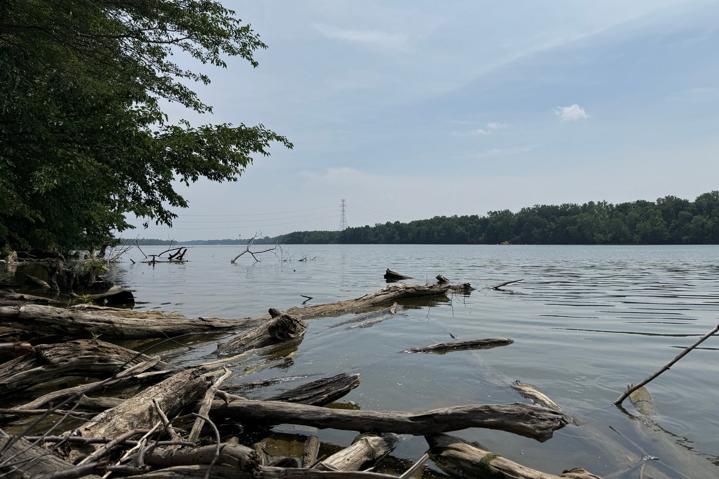 5 dead in attempt to save a struggling swimmer in an Ohio river, sheriff says | iNFOnews.ca