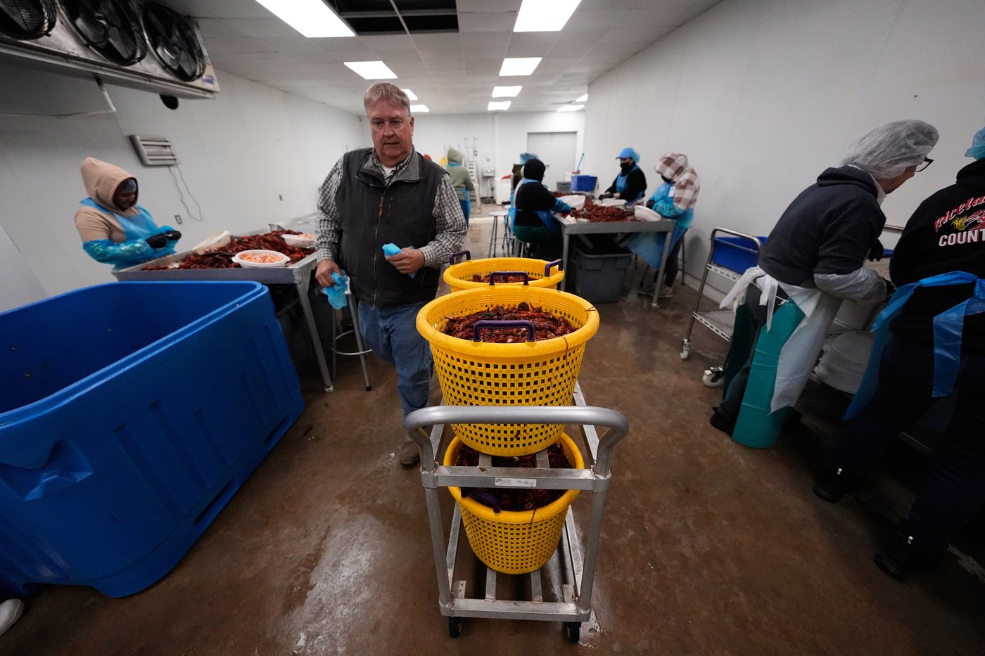 Photos shows the crawfish processing in Louisiana, an industry hit by a shortage of foreign workers | iNFOnews.ca Photos shows the crawfish processing in Louisiana, an industry hit by a shortage of foreign workers | iNFOnews.ca