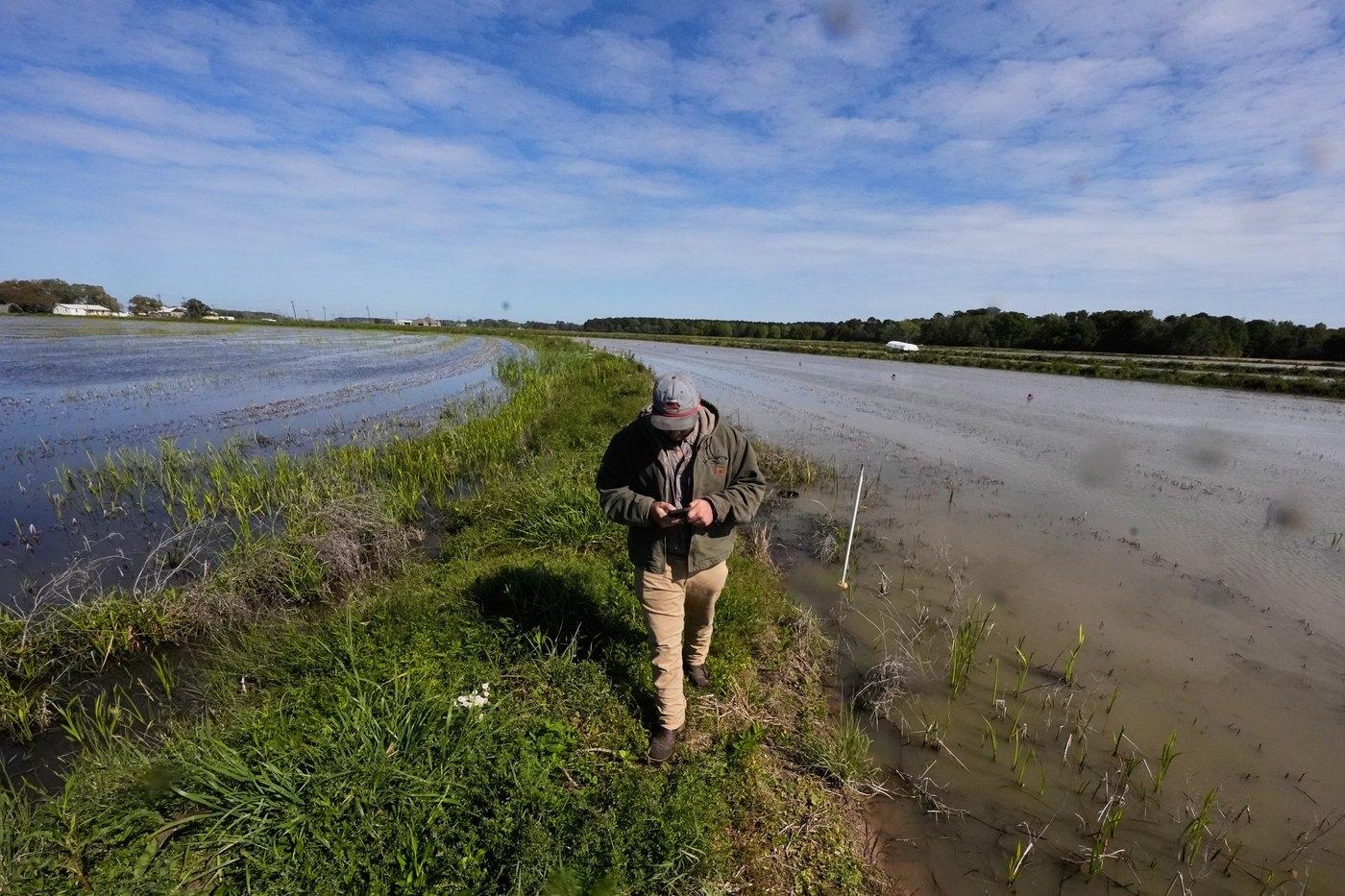Photos shows the crawfish processing in Louisiana, an industry hit by a shortage of foreign workers | iNFOnews.ca Photos shows the crawfish processing in Louisiana, an industry hit by a shortage of foreign workers | iNFOnews.ca