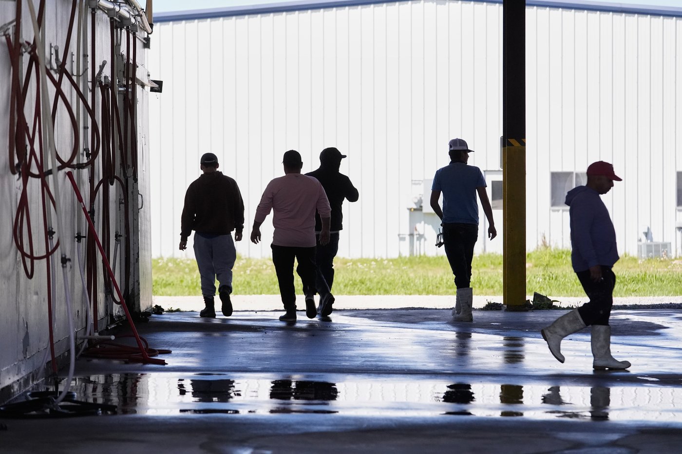 Photos shows the crawfish processing in Louisiana, an industry hit by a shortage of foreign workers | iNFOnews.ca Photos shows the crawfish processing in Louisiana, an industry hit by a shortage of foreign workers | iNFOnews.ca