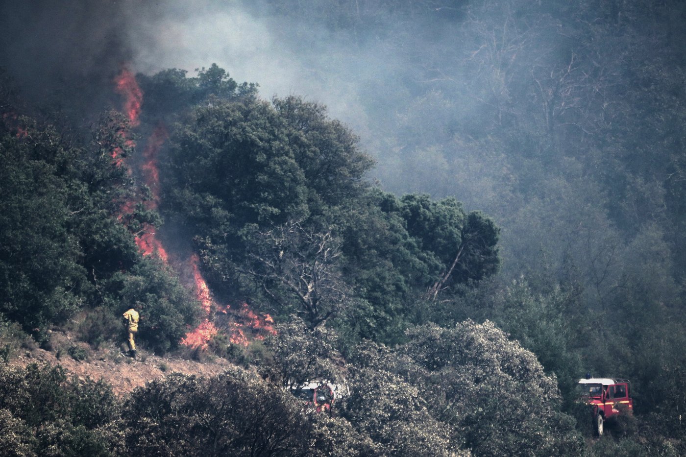 Wildfires across Europe have killed hundreds over the last decade | iNFOnews.ca