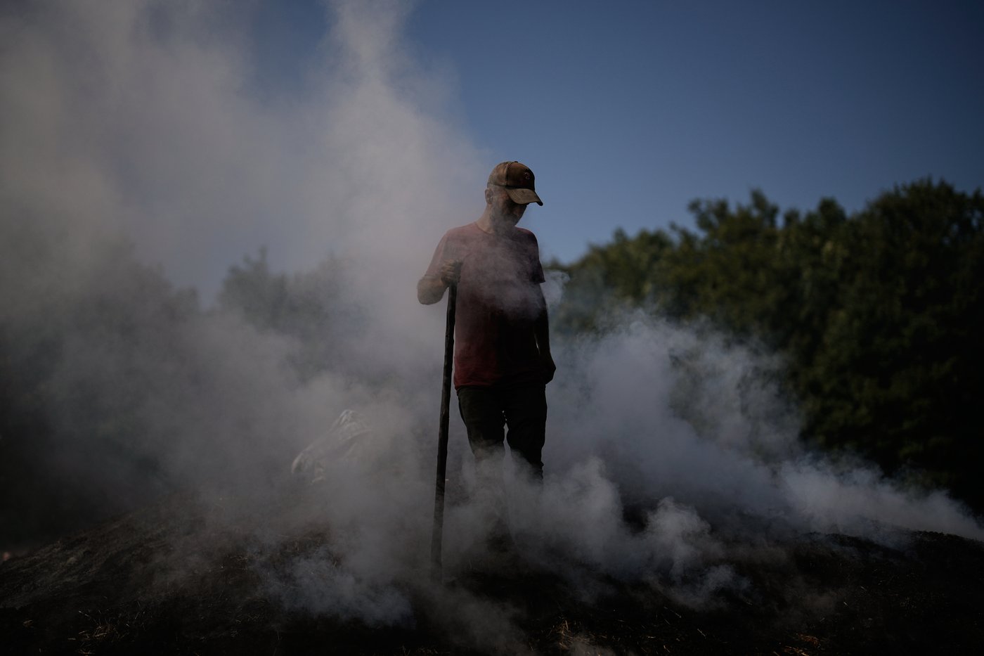 Father and sons keep a traditional charcoal craft alive, in photos | iNFOnews.ca