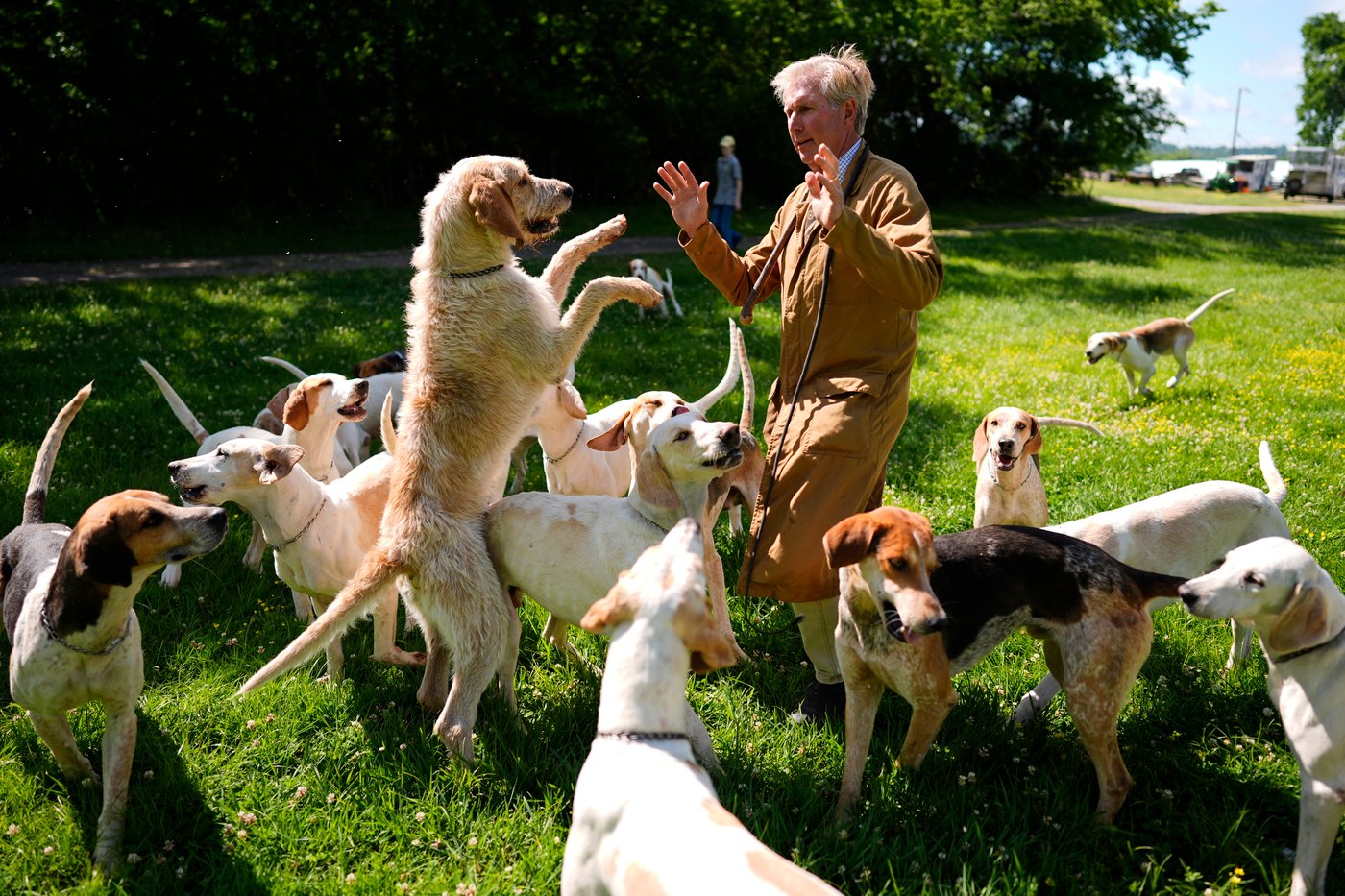 At the Iroquois Steeplechase, the foxhounds kick off the horse races with a howling fun dog parade | iNFOnews.ca