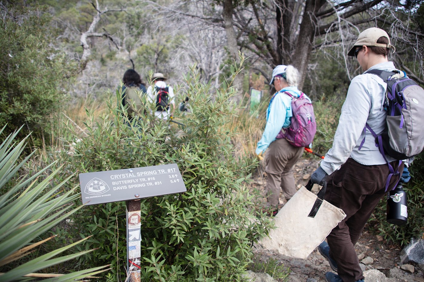 On Mount Lemmon, volunteers give unemployed rocks a new job: Erosion control | iNFOnews.ca