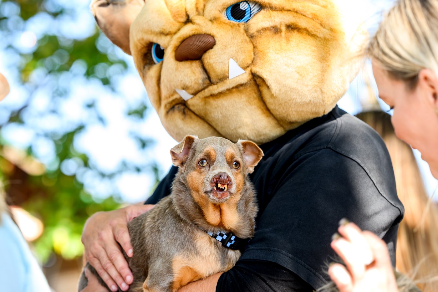 Photos show the World’s Ugliest Dog Contest in California | iNFOnews.ca