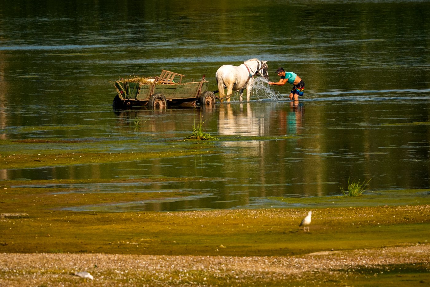 Daily life around the world, in photos | iNFOnews.ca
