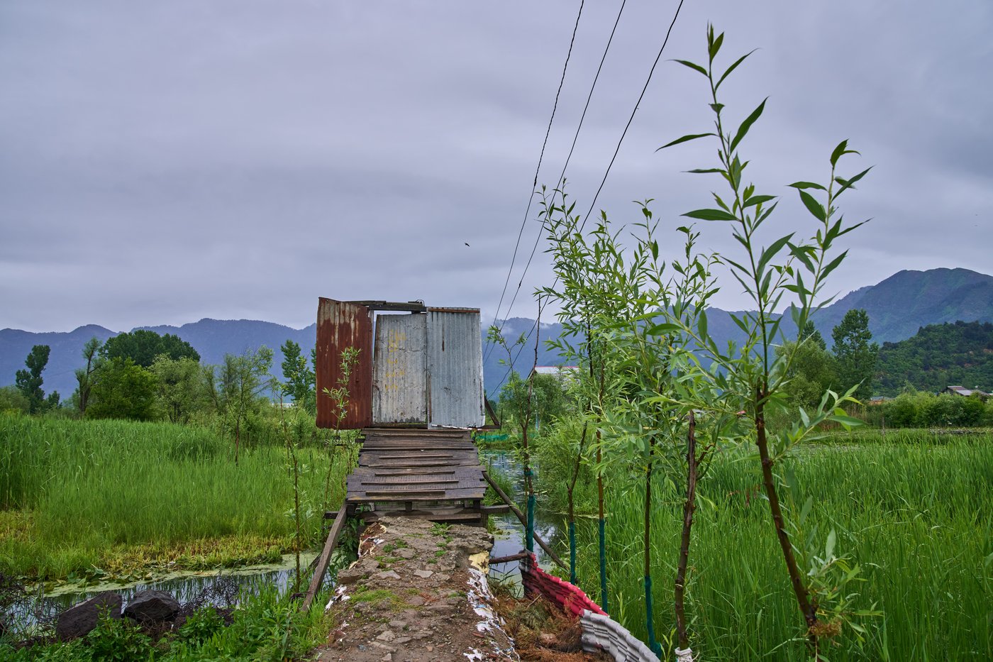 Warming climate, pollution and unplanned growth push Kashmir’s lakes toward disappearance | iNFOnews.ca Warming climate, pollution and unplanned growth push Kashmir’s lakes toward disappearance | iNFOnews.ca