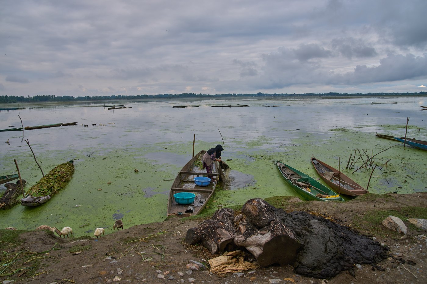 Warming climate, pollution and unplanned growth push Kashmir’s lakes toward disappearance | iNFOnews.ca Warming climate, pollution and unplanned growth push Kashmir’s lakes toward disappearance | iNFOnews.ca