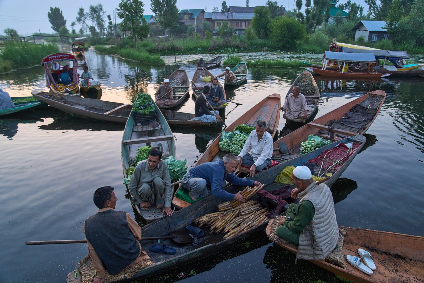 Warming climate, pollution and unplanned growth push Kashmir’s lakes toward disappearance | iNFOnews.ca Warming climate, pollution and unplanned growth push Kashmir’s lakes toward disappearance | iNFOnews.ca